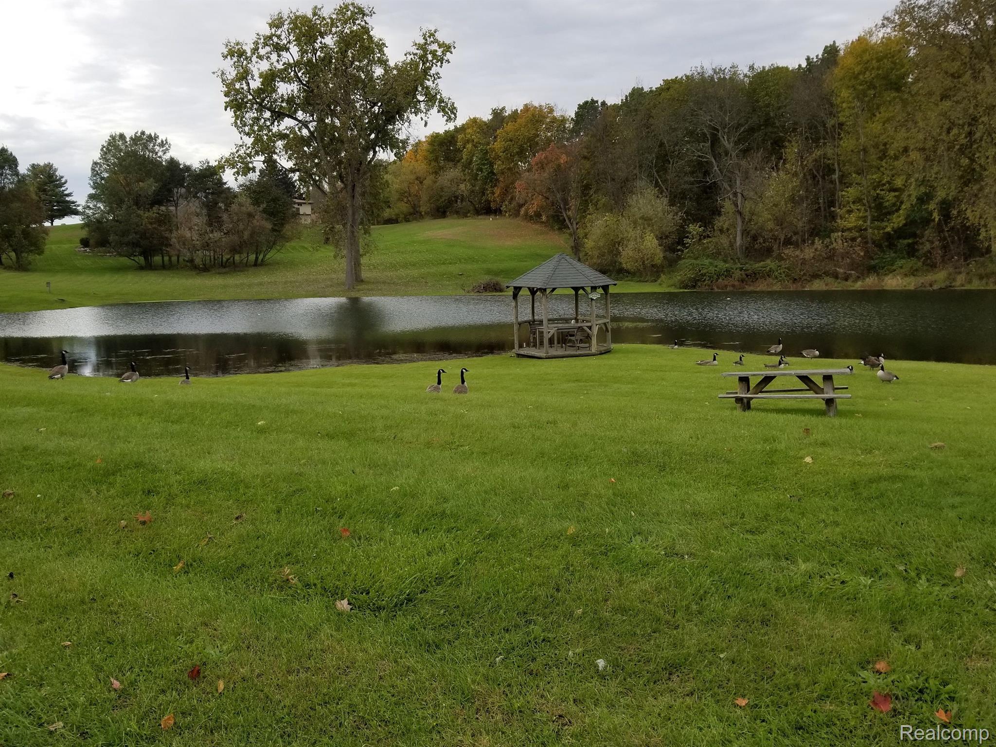 2195 Sundance Ridge Howell, MI 48843 - Photo 24 of 24 POND & PARK ACROSS THE STREET