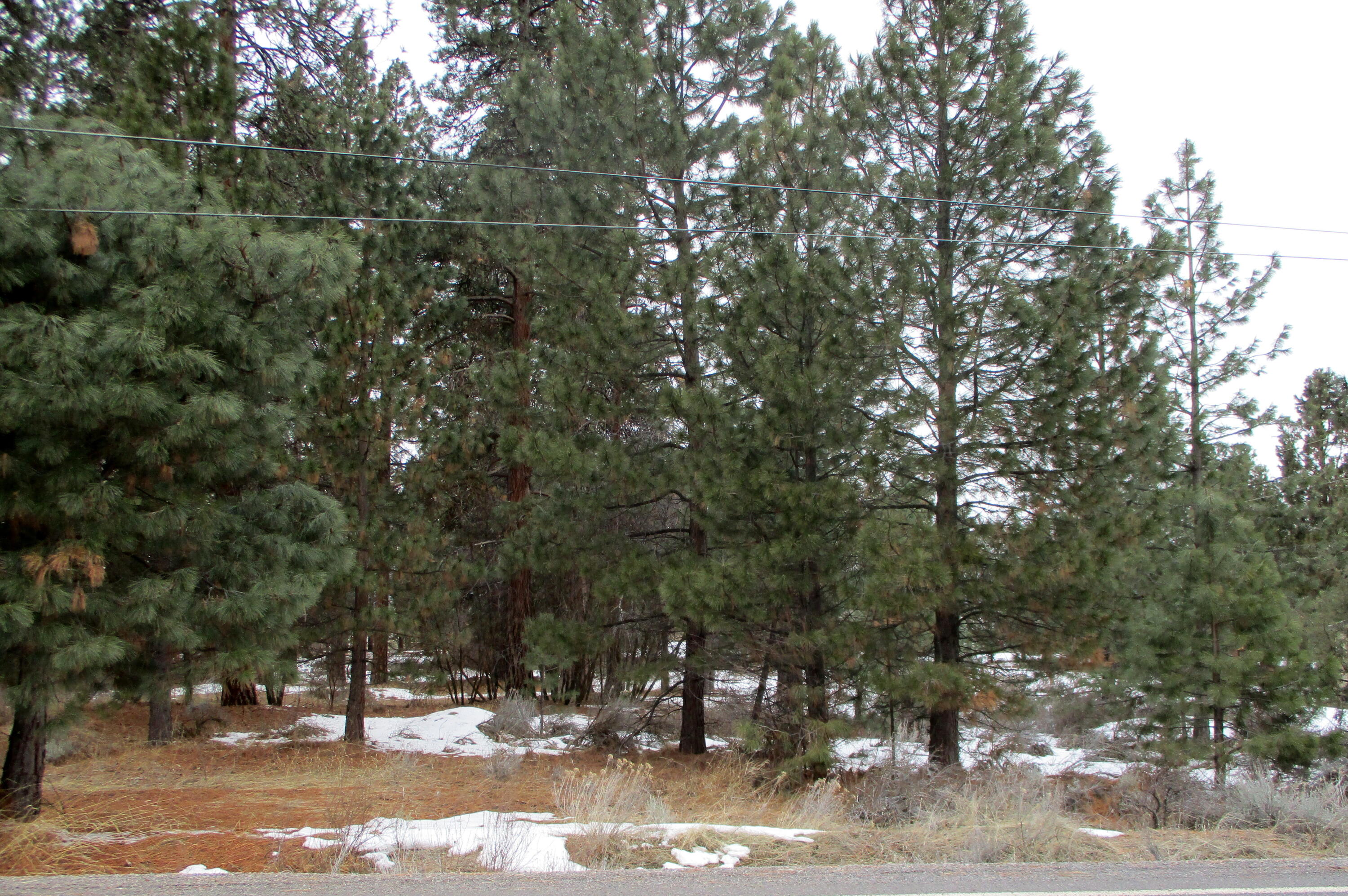 3525 Cayuse Way Chiloquin, OR 97624 - Photo 1 of 9 Cayuse Circle