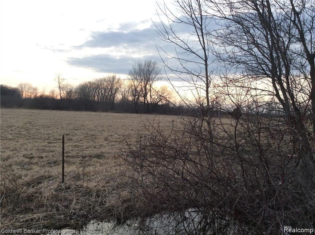 0 Wheeler Road Allenton, MI 48002 - Photo 2 of 3