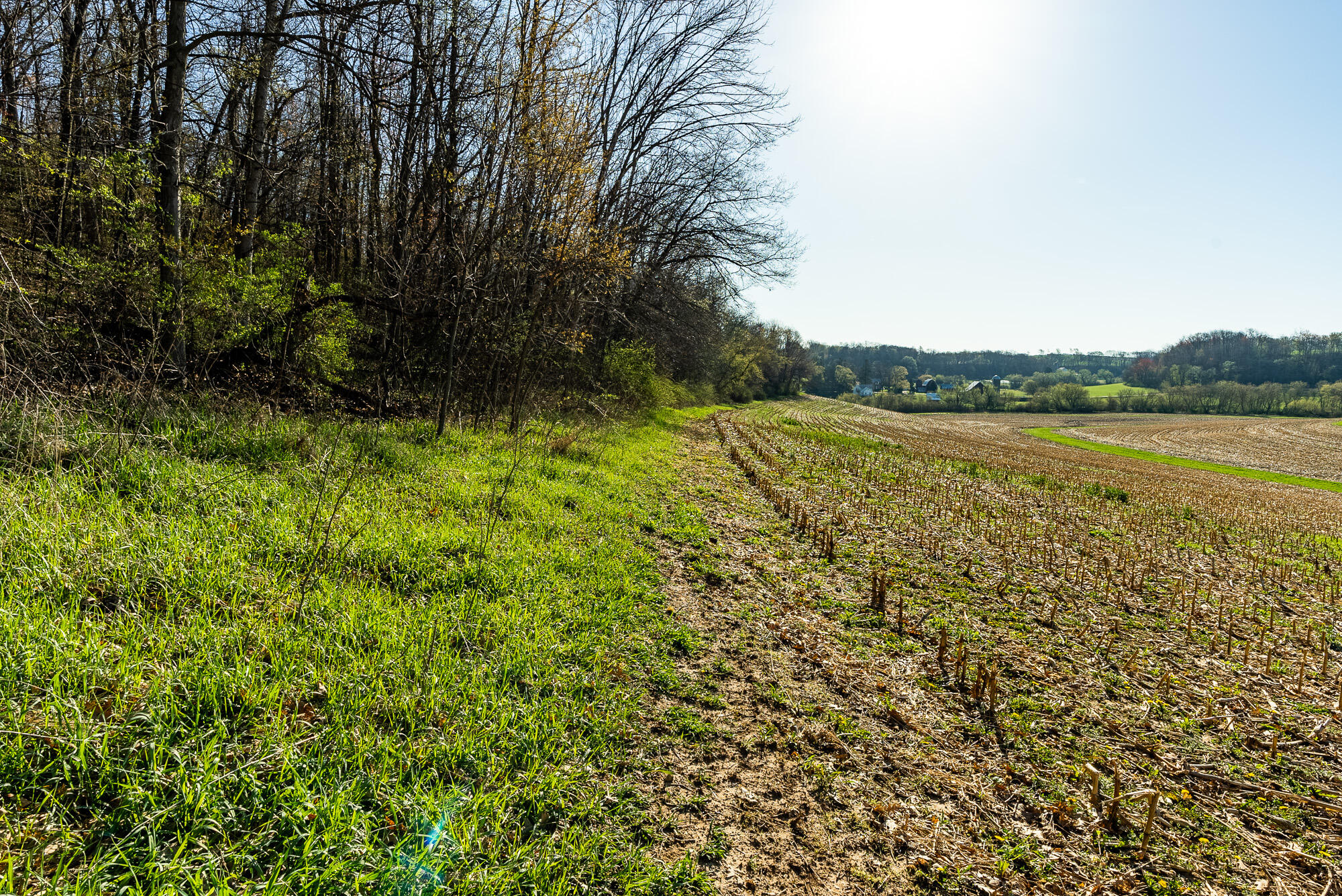 Lt2 Eli Valley Road Hillpoint, WI 53937 - Photo 45 of 47 Sauk-County-WI-53-Acres-Land-For-Sale-45
