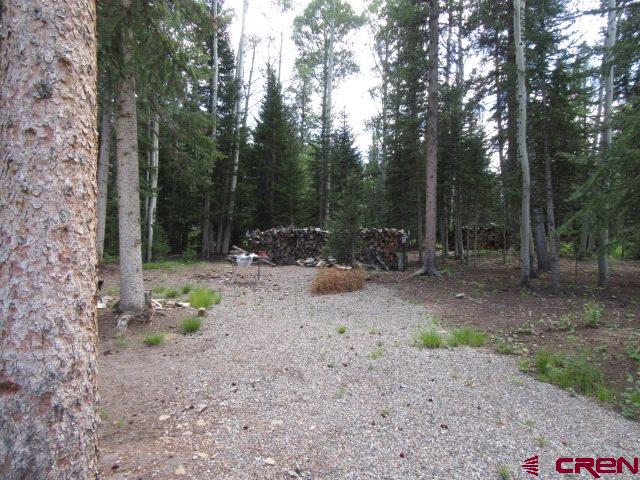 301 Spruce Road Cimarron, CO 81220 - Photo 2 of 9 Gallery Image 2