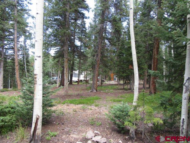 301 Spruce Road Cimarron, CO 81220 - Photo 3 of 9 Gallery Image 3