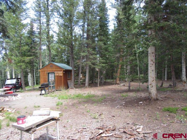 301 Spruce Road Cimarron, CO 81220 - Photo 9 of 9 Gallery Image 9