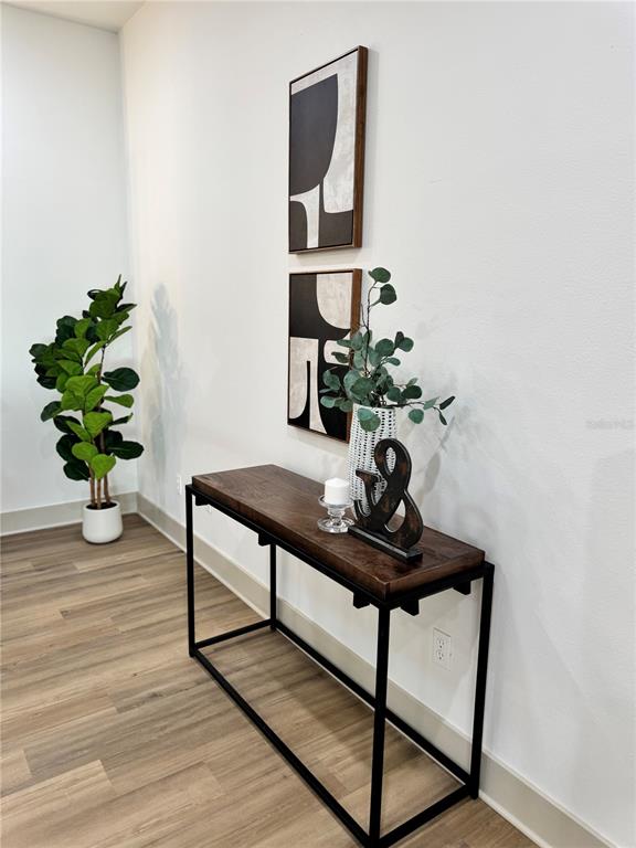 544 Royal Ridge Street Valrico, FL 33594 - Photo 19 of 41