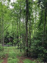 9999 Sleepy Gap Road, Unit 6 Arden, NC 28704 - Photo 4 of 5 Gallery Image 4