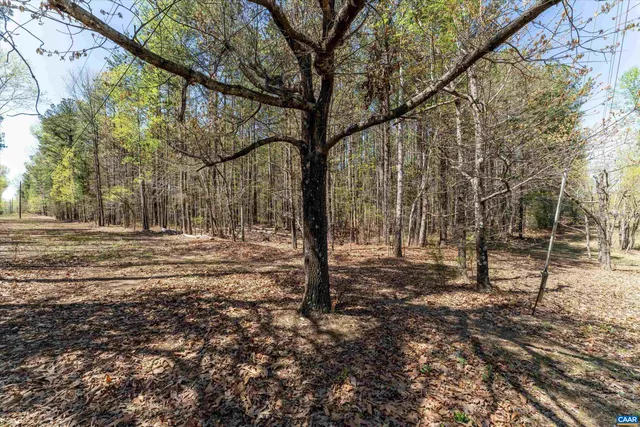 a backyard of a house with trees