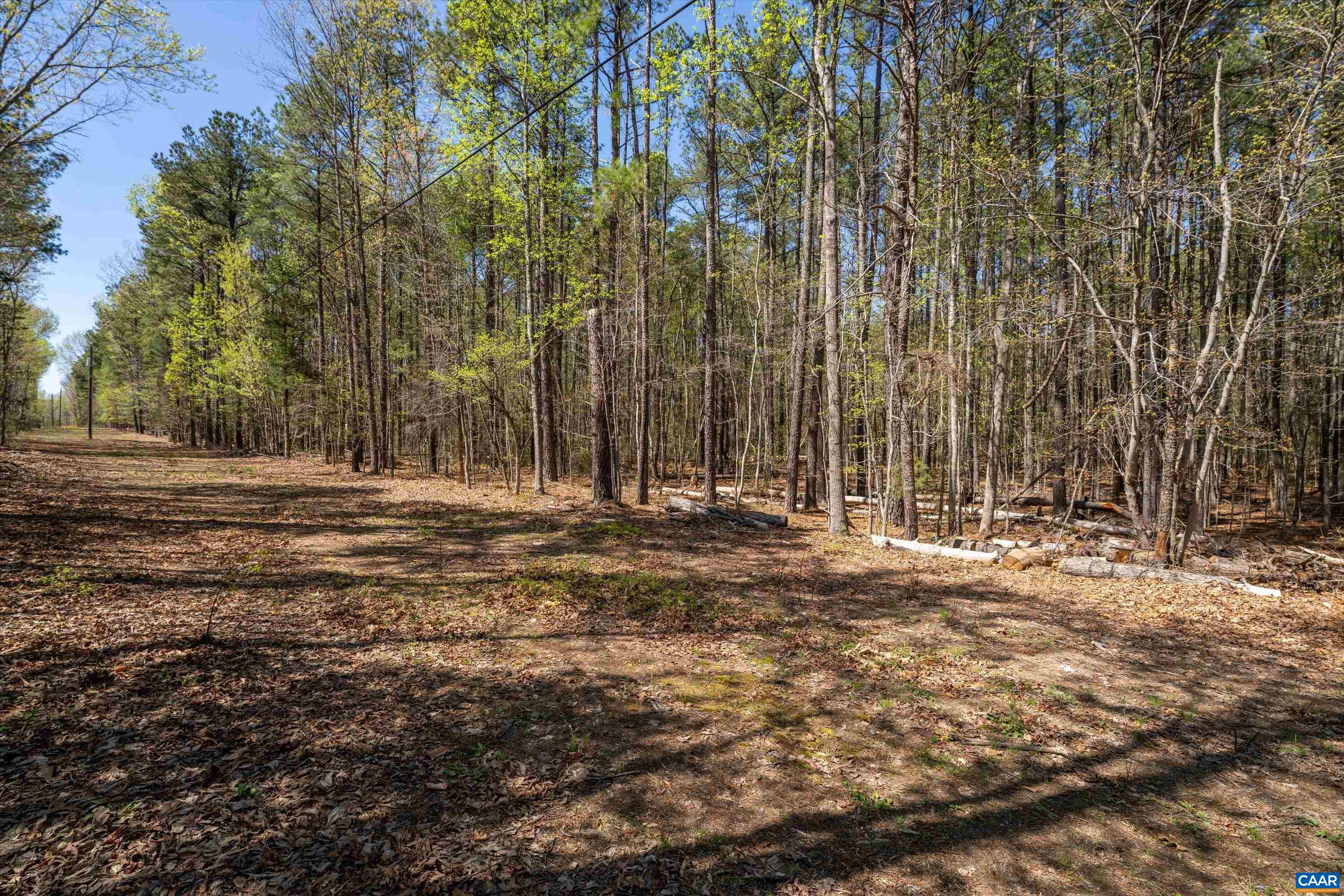 Lot 27 Martin Kings Road Charlottesville, VA 22902 - Photo 13 of 45 a view of dirt field with trees