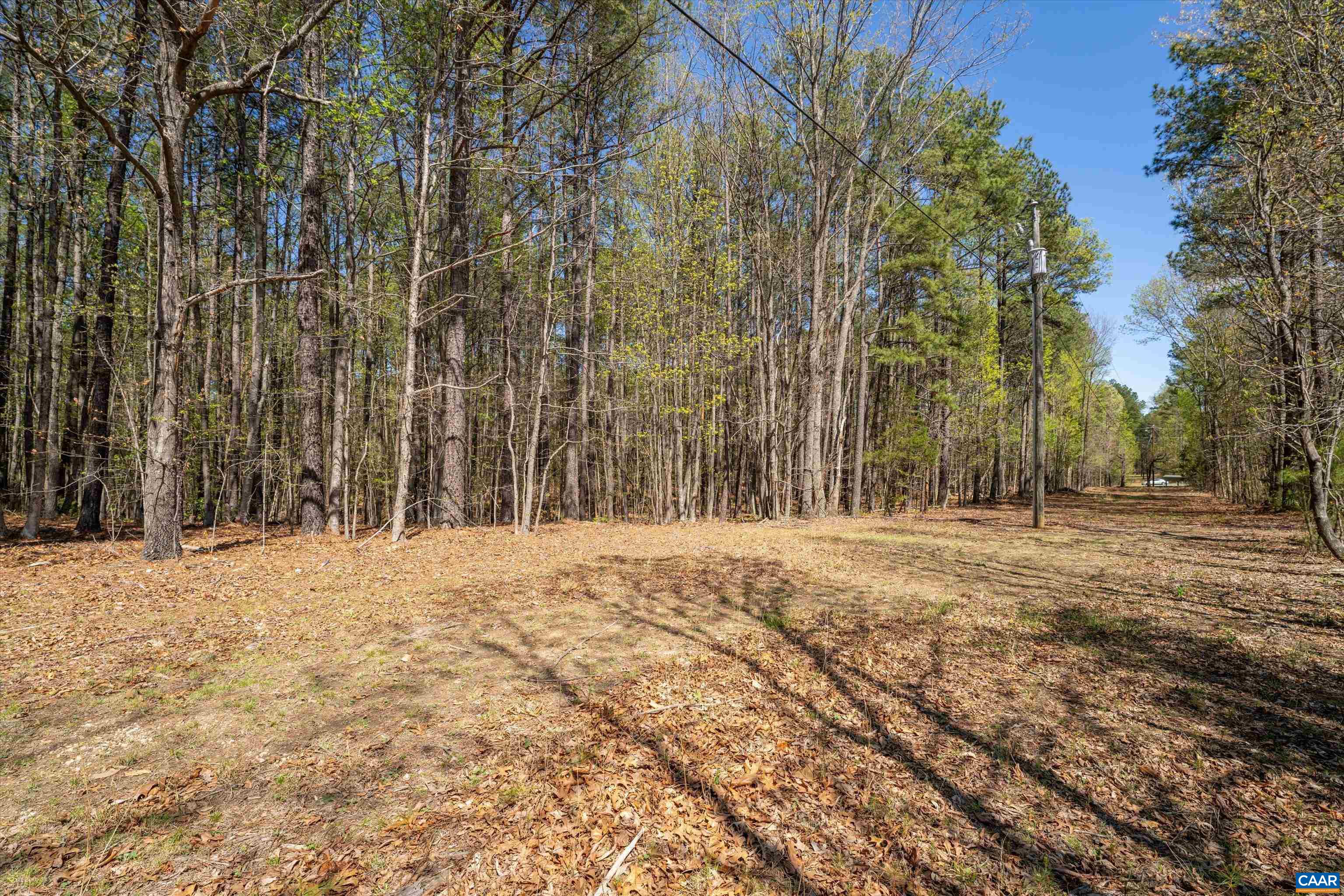 Lot 27 Martin Kings Road Charlottesville, VA 22902 - Photo 16 of 45 a backyard of a house with trees