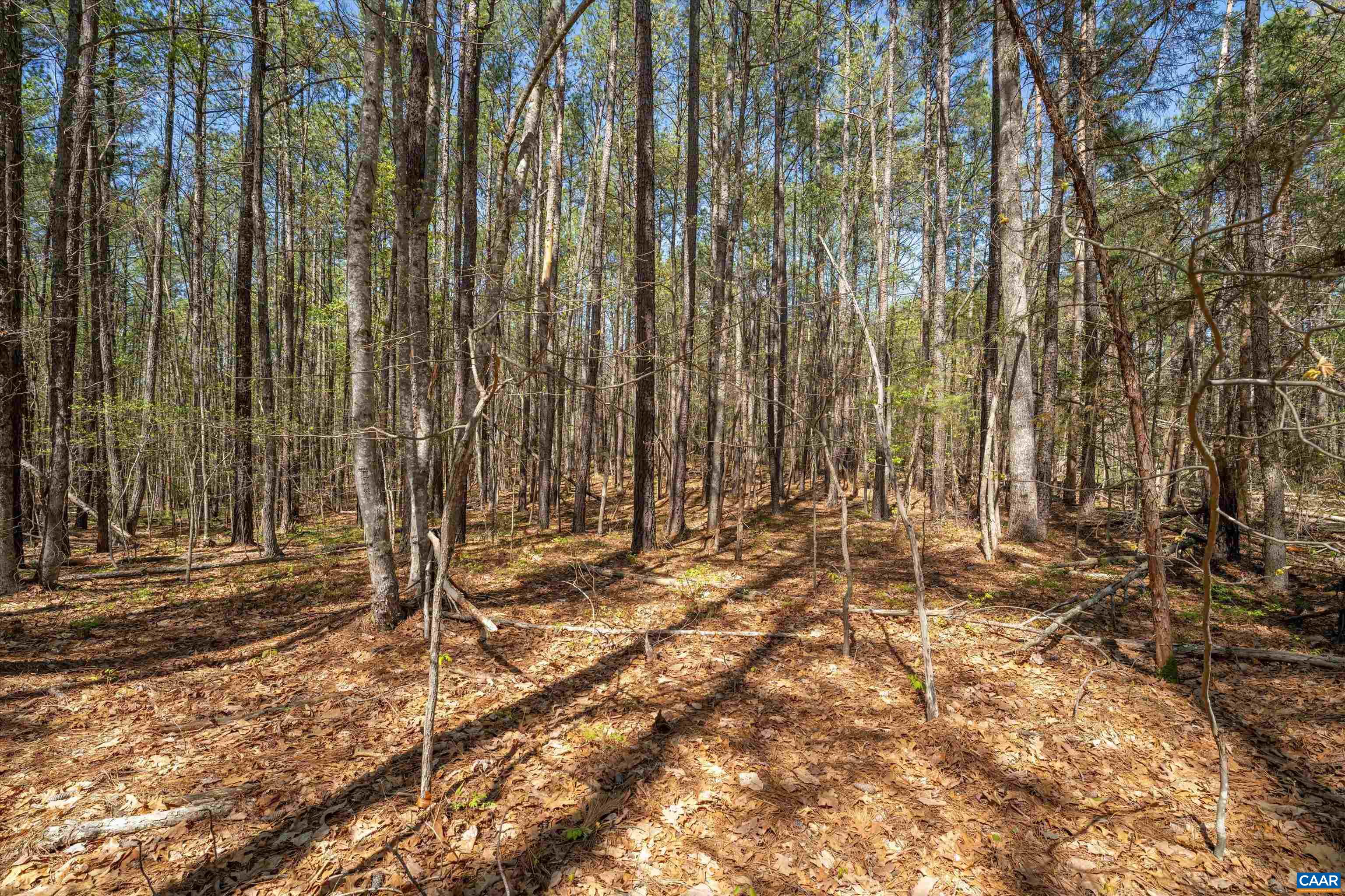 Lot 27 Martin Kings Road Charlottesville, VA 22902 - Photo 18 of 45 a view of a yard with chairs