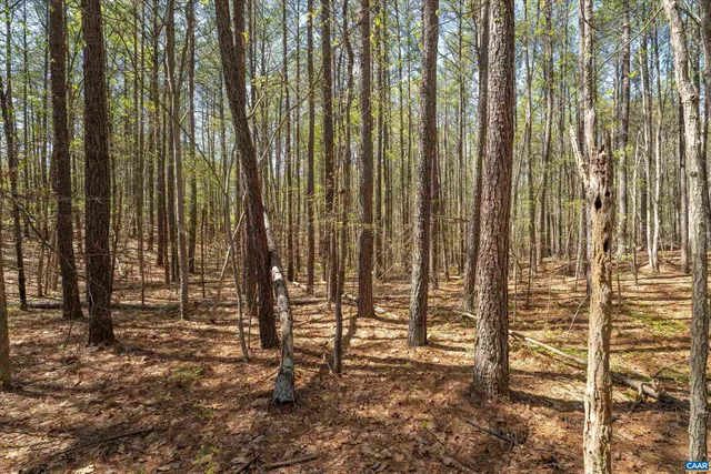 a view of outdoor space with plants