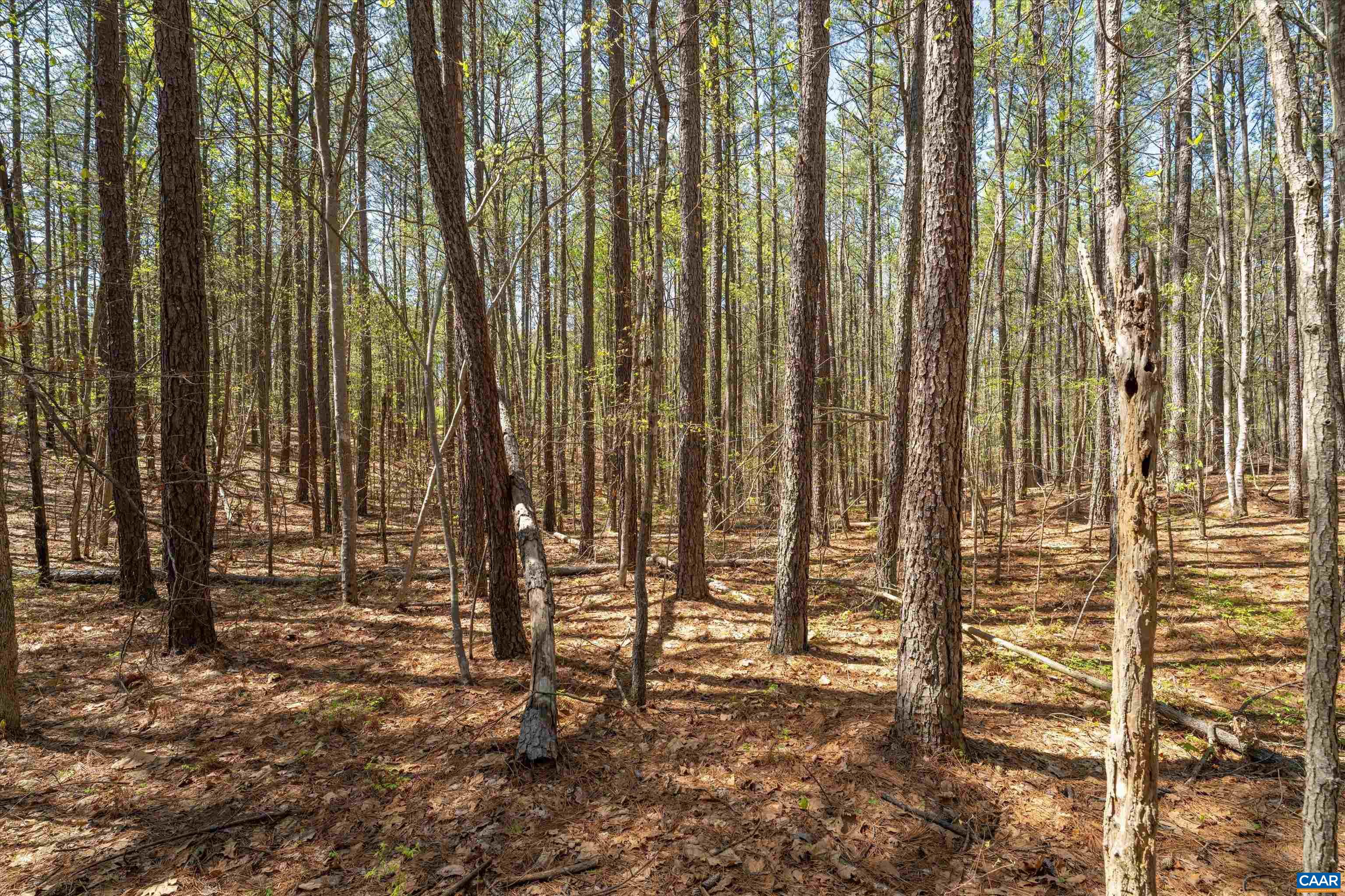 Lot 27 Martin Kings Road Charlottesville, VA 22902 - Photo 19 of 45 a view of outdoor space with chairs