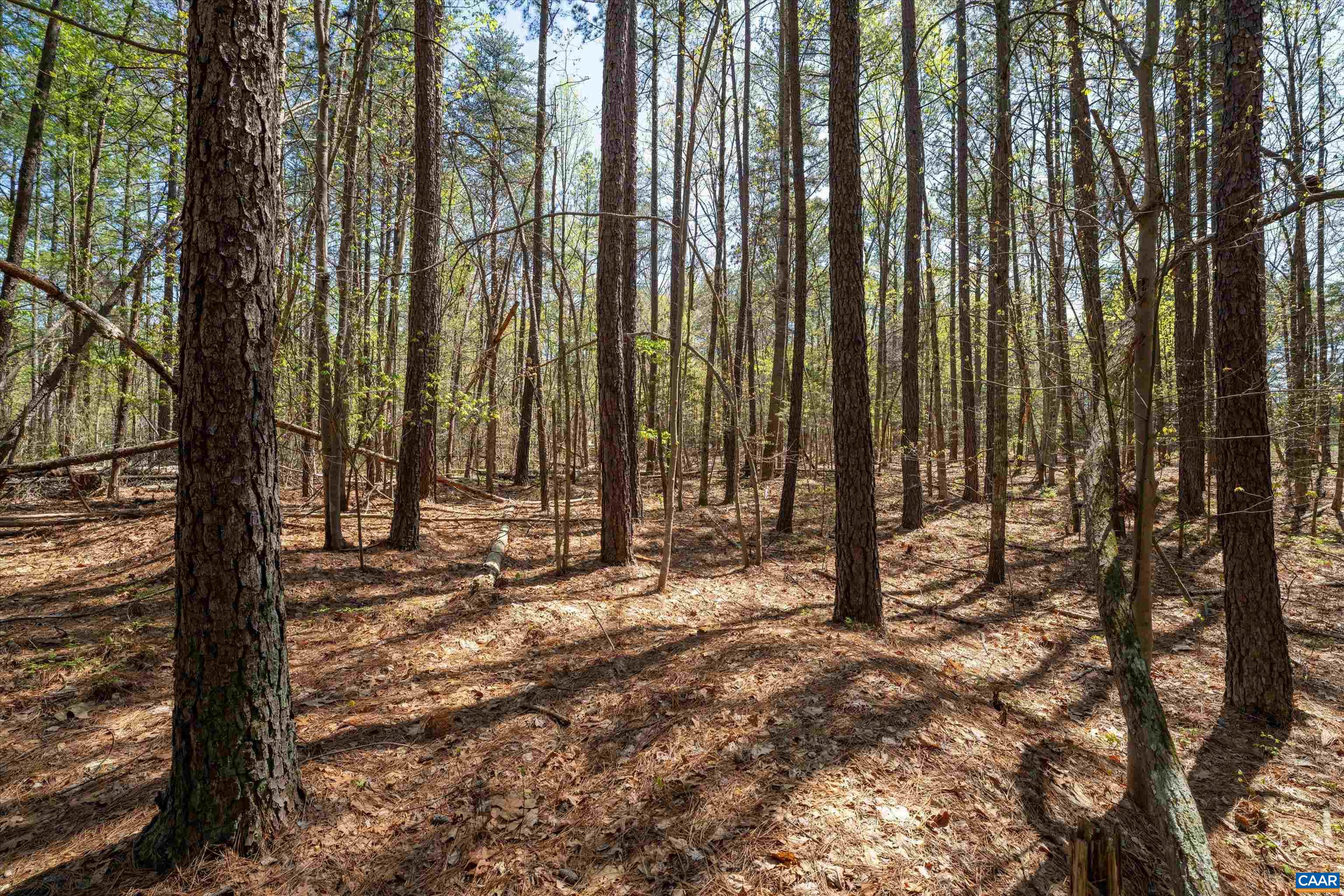 Lot 27 Martin Kings Road Charlottesville, VA 22902 - Photo 20 of 45