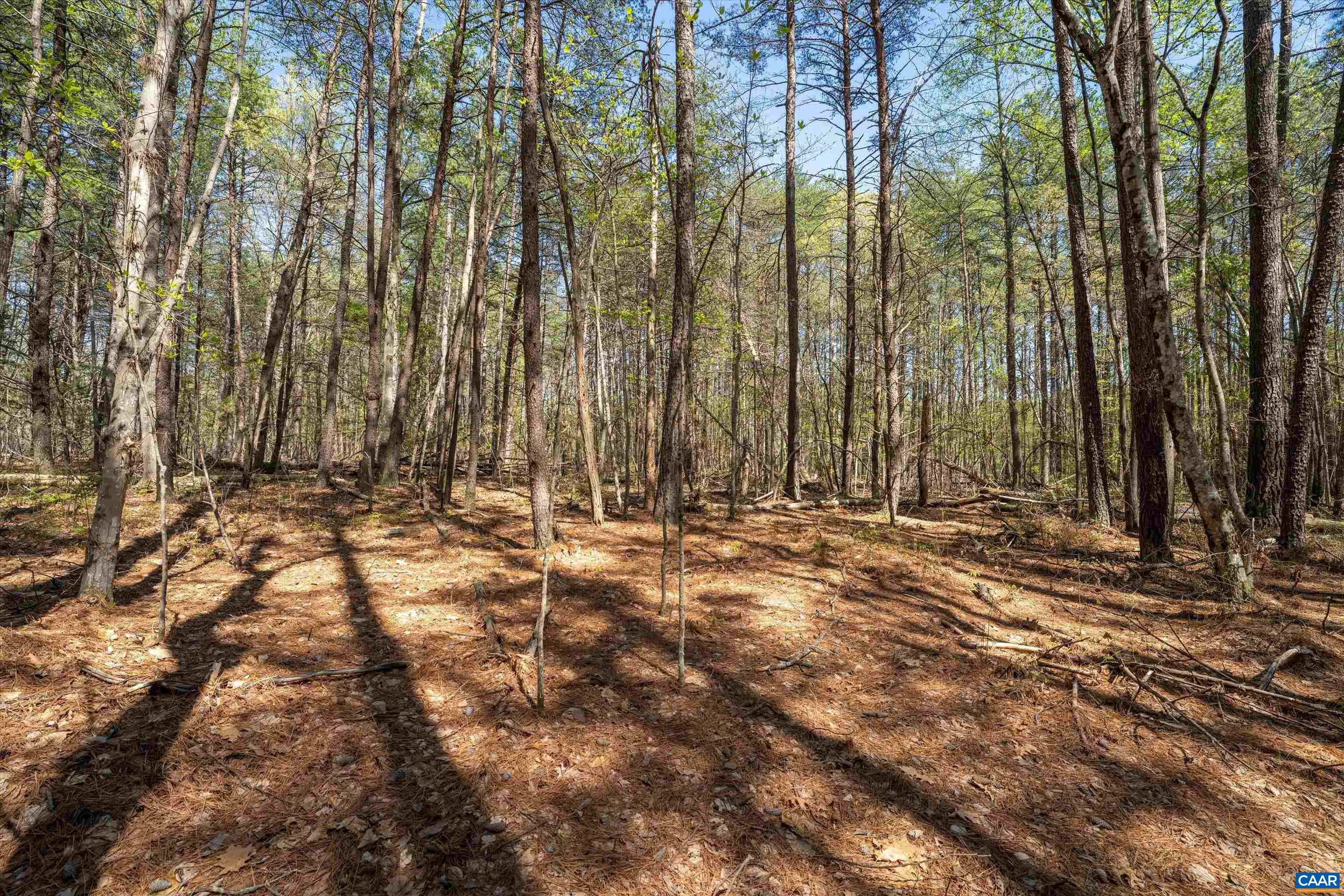 Lot 27 Martin Kings Road Charlottesville, VA 22902 - Photo 22 of 45 a view of outdoor space with deck and tree