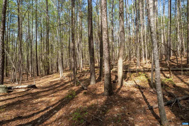 a view of outdoor space with trees