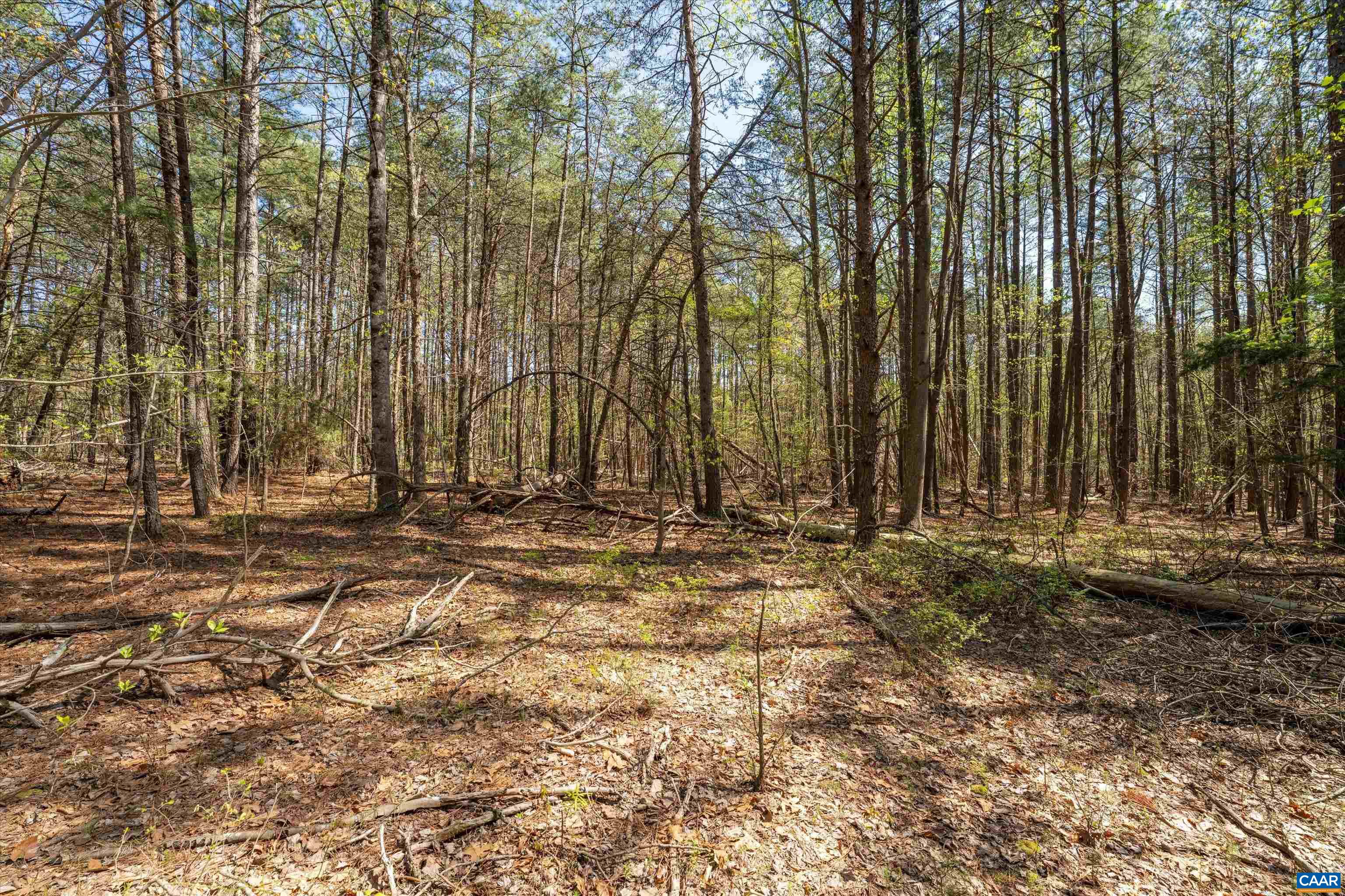 Lot 27 Martin Kings Road Charlottesville, VA 22902 - Photo 25 of 45 a view of outdoor space with wooden fence