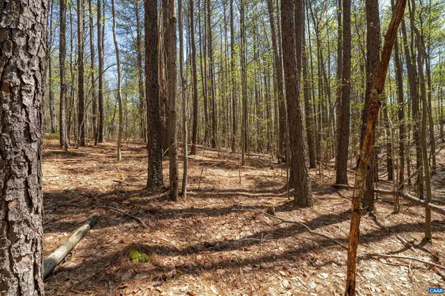 a view of house with backyard