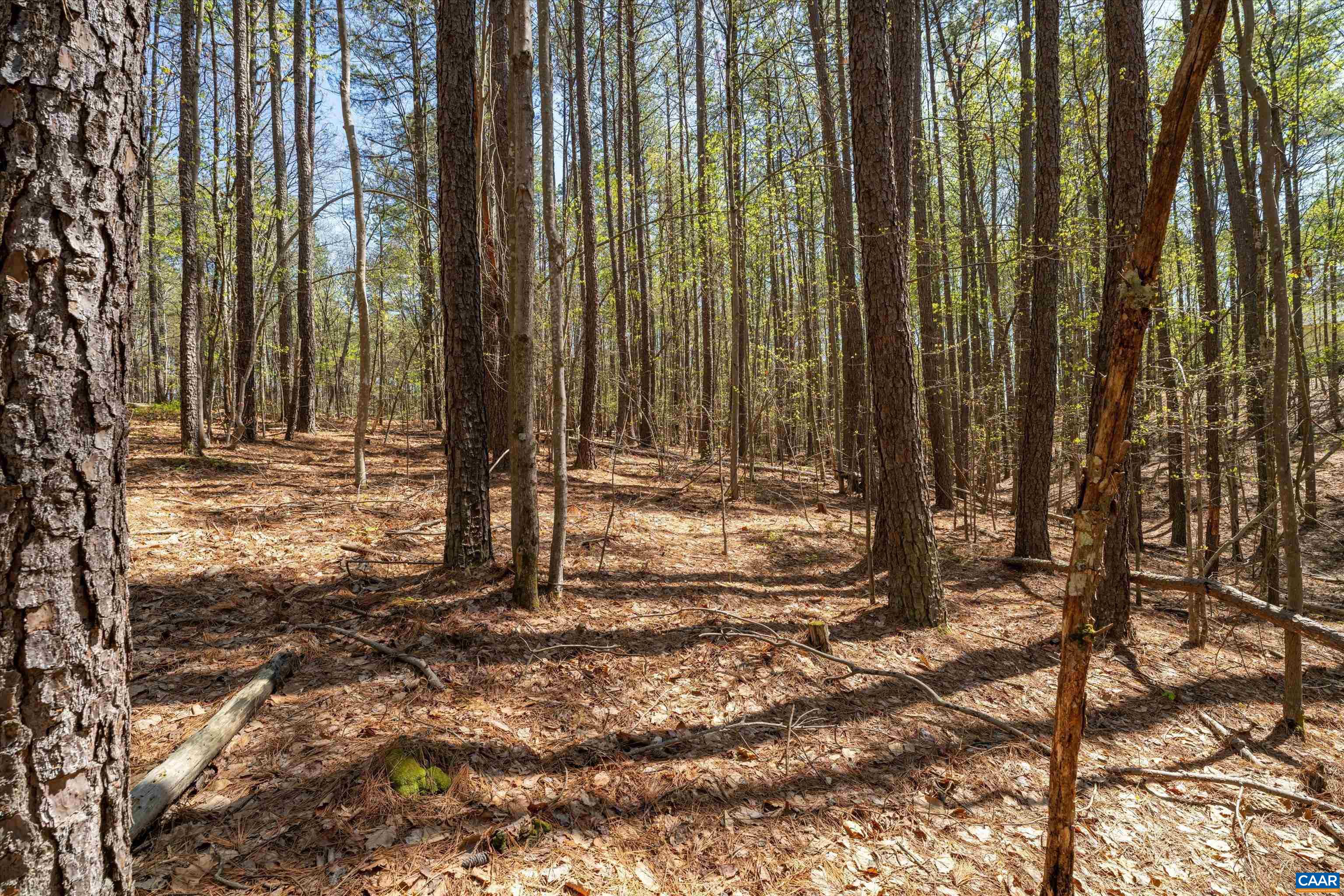 Lot 27 Martin Kings Road Charlottesville, VA 22902 - Photo 26 of 45