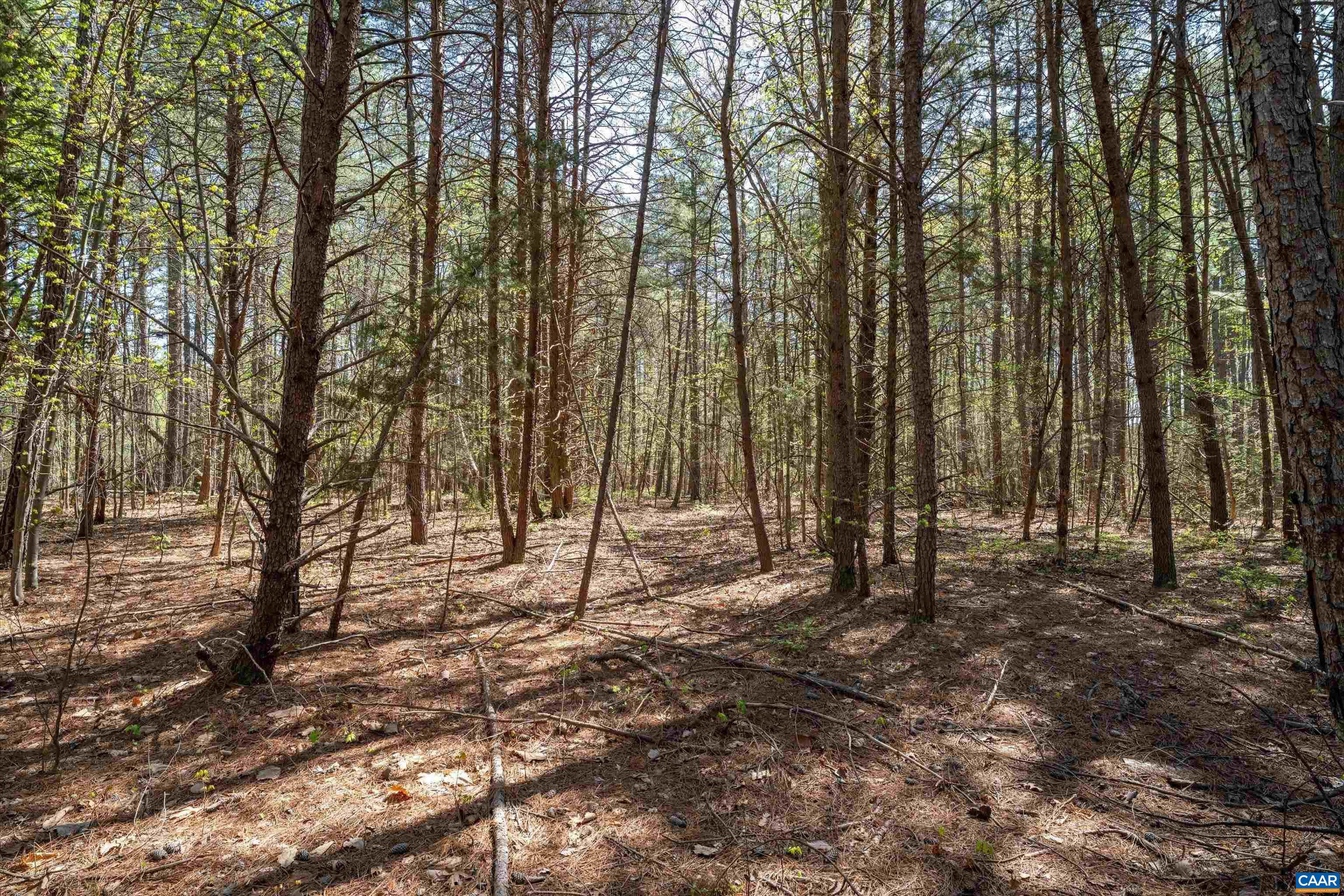 Lot 27 Martin Kings Road Charlottesville, VA 22902 - Photo 28 of 45 a backyard of a house with lots of green space