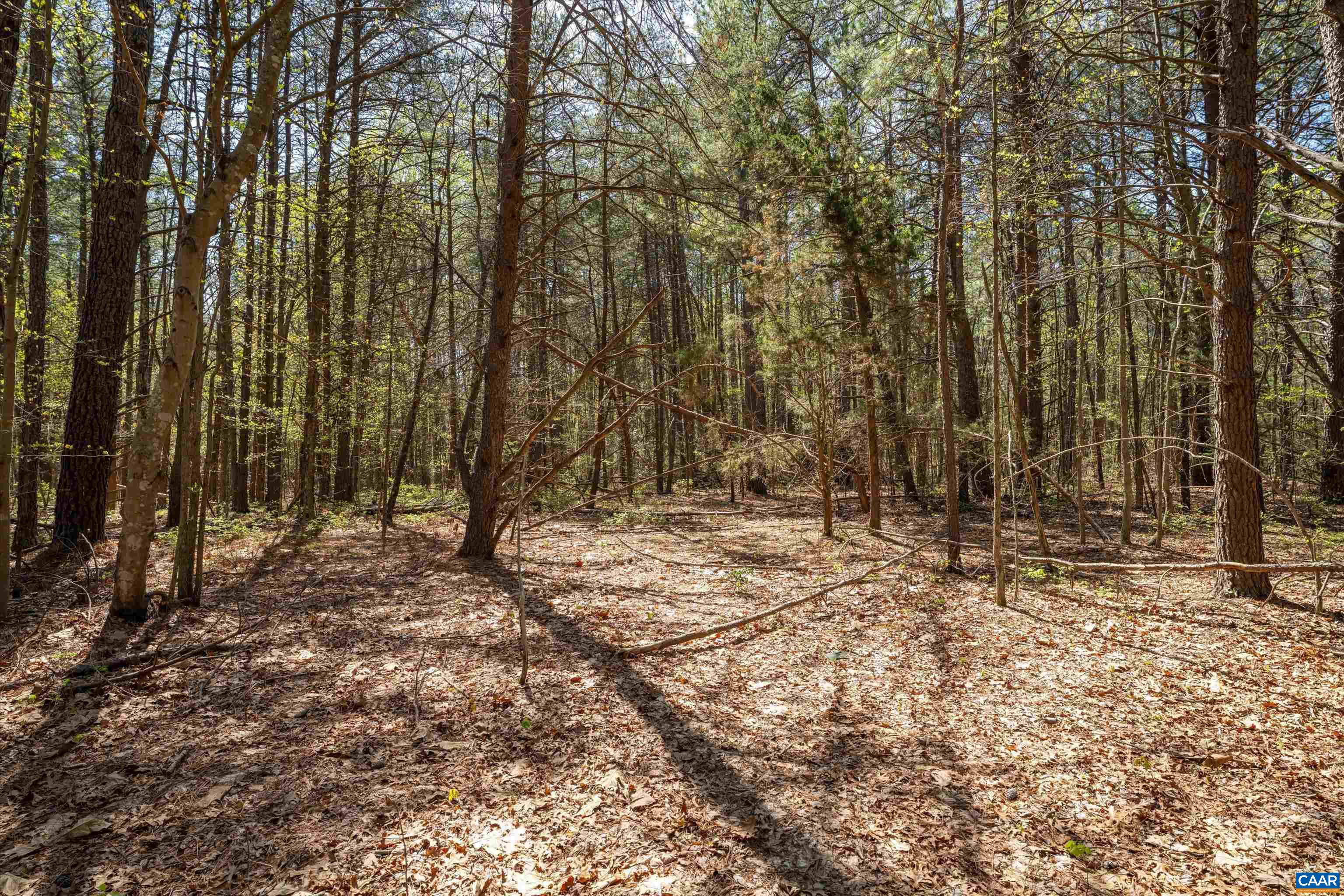Lot 27 Martin Kings Road Charlottesville, VA 22902 - Photo 29 of 45 a backyard of a house with lots of green space