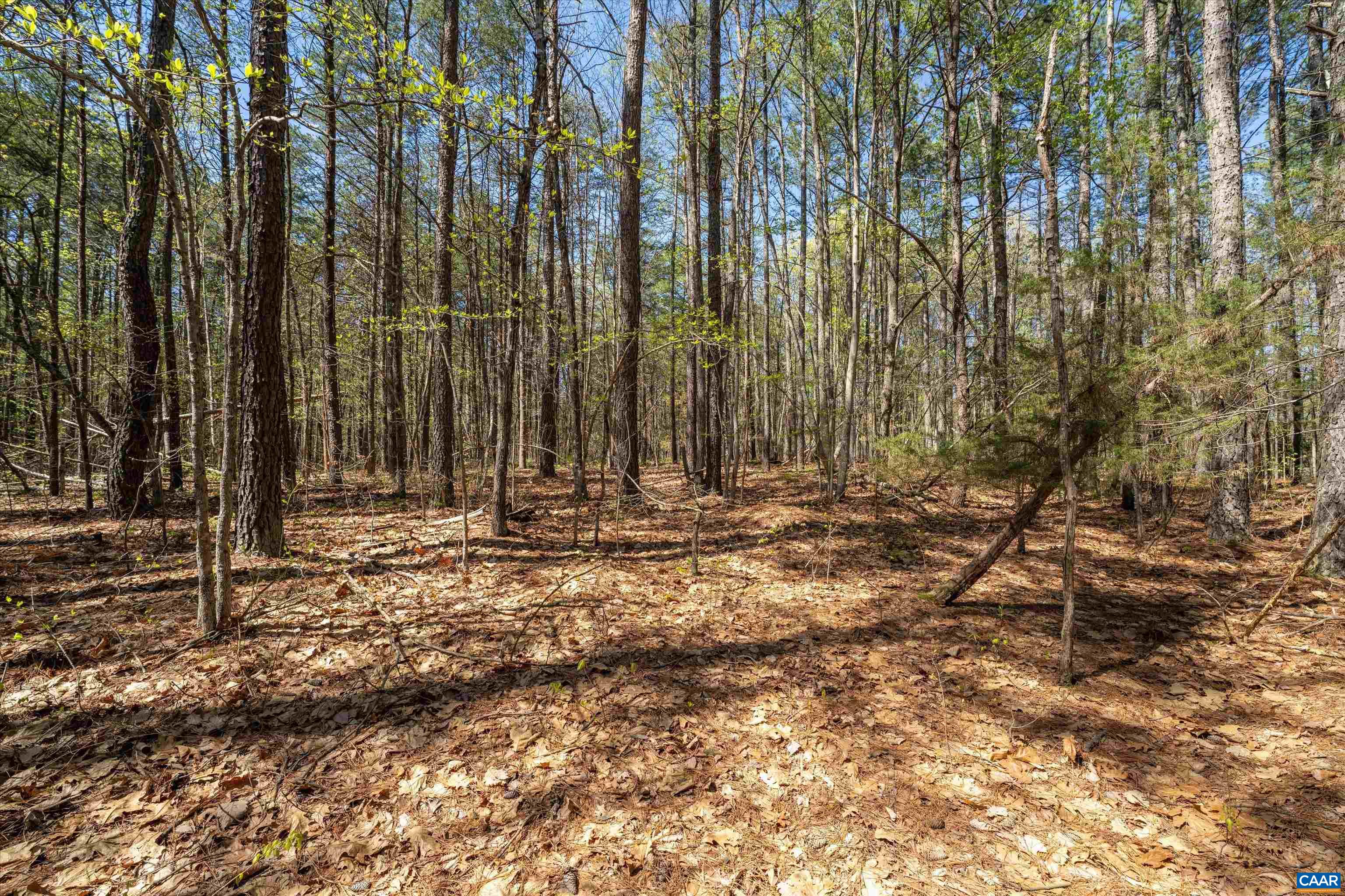 Lot 27 Martin Kings Road Charlottesville, VA 22902 - Photo 30 of 45 a view of outdoor space with trees