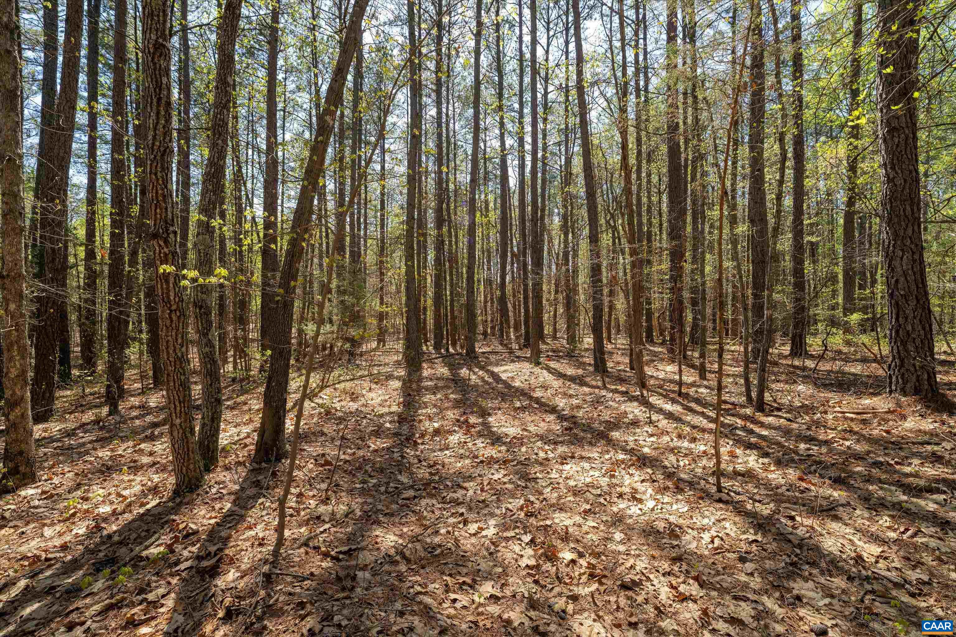 Lot 27 Martin Kings Road Charlottesville, VA 22902 - Photo 31 of 45 a view of backyard with tub