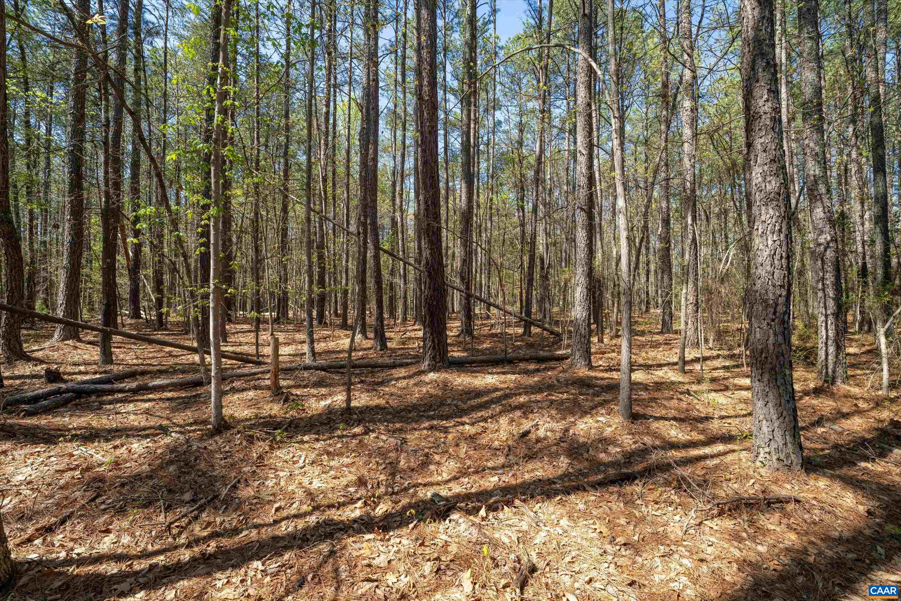 Lot 27 Martin Kings Road Charlottesville, VA 22902 - Photo 33 of 45 a view of a backyard with trees