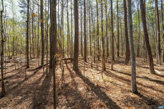 a view of a yard with a trees