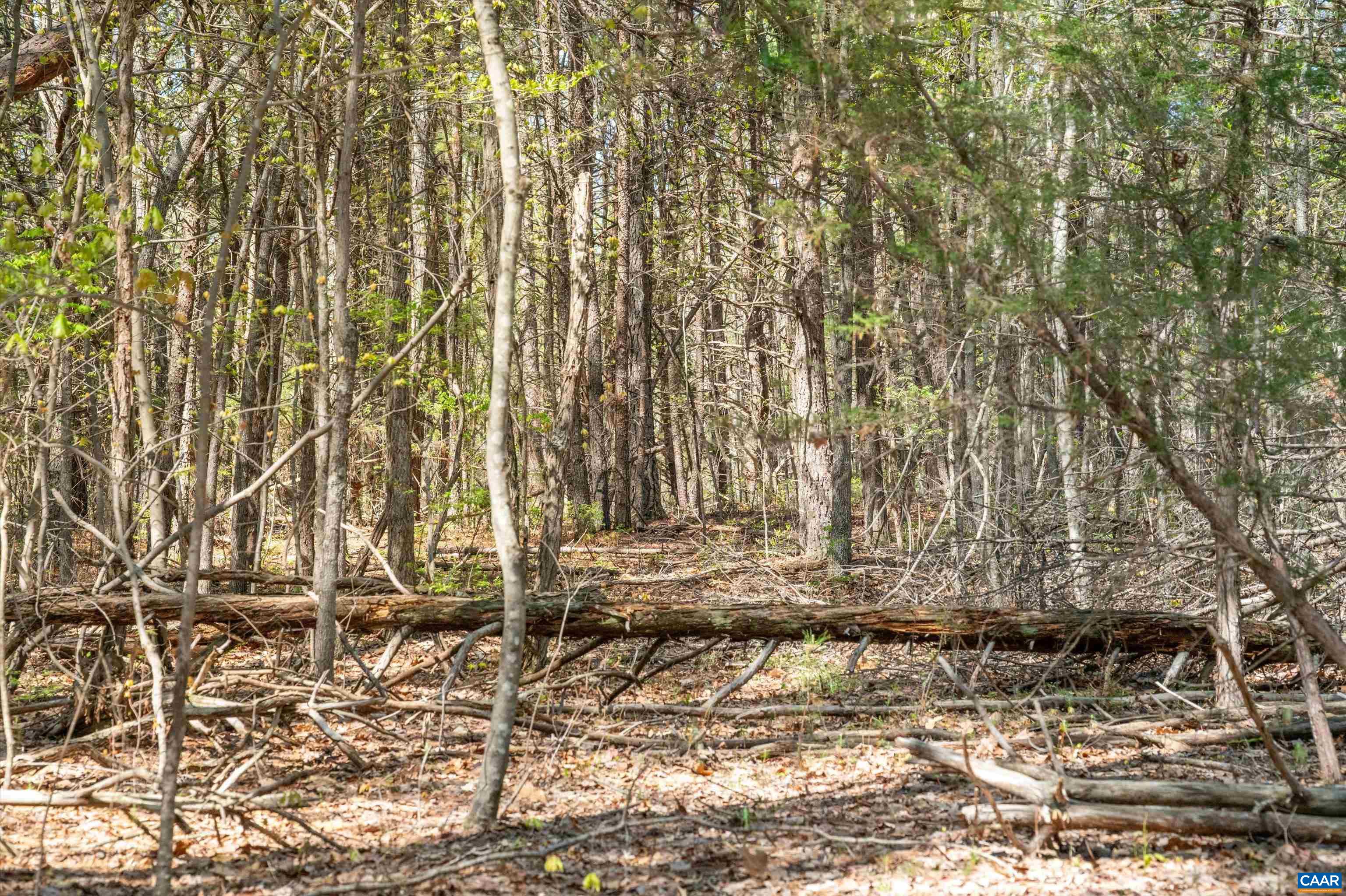 Lot 27 Martin Kings Road Charlottesville, VA 22902 - Photo 35 of 45 a view of covered with wooden fence