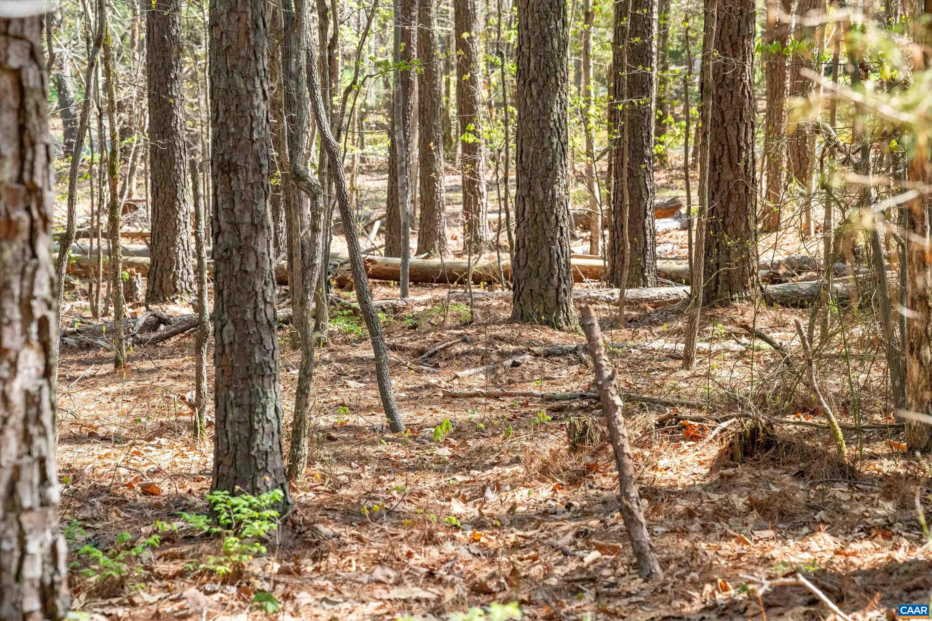 Lot 27 Martin Kings Road Charlottesville, VA 22902 - Photo 36 of 45