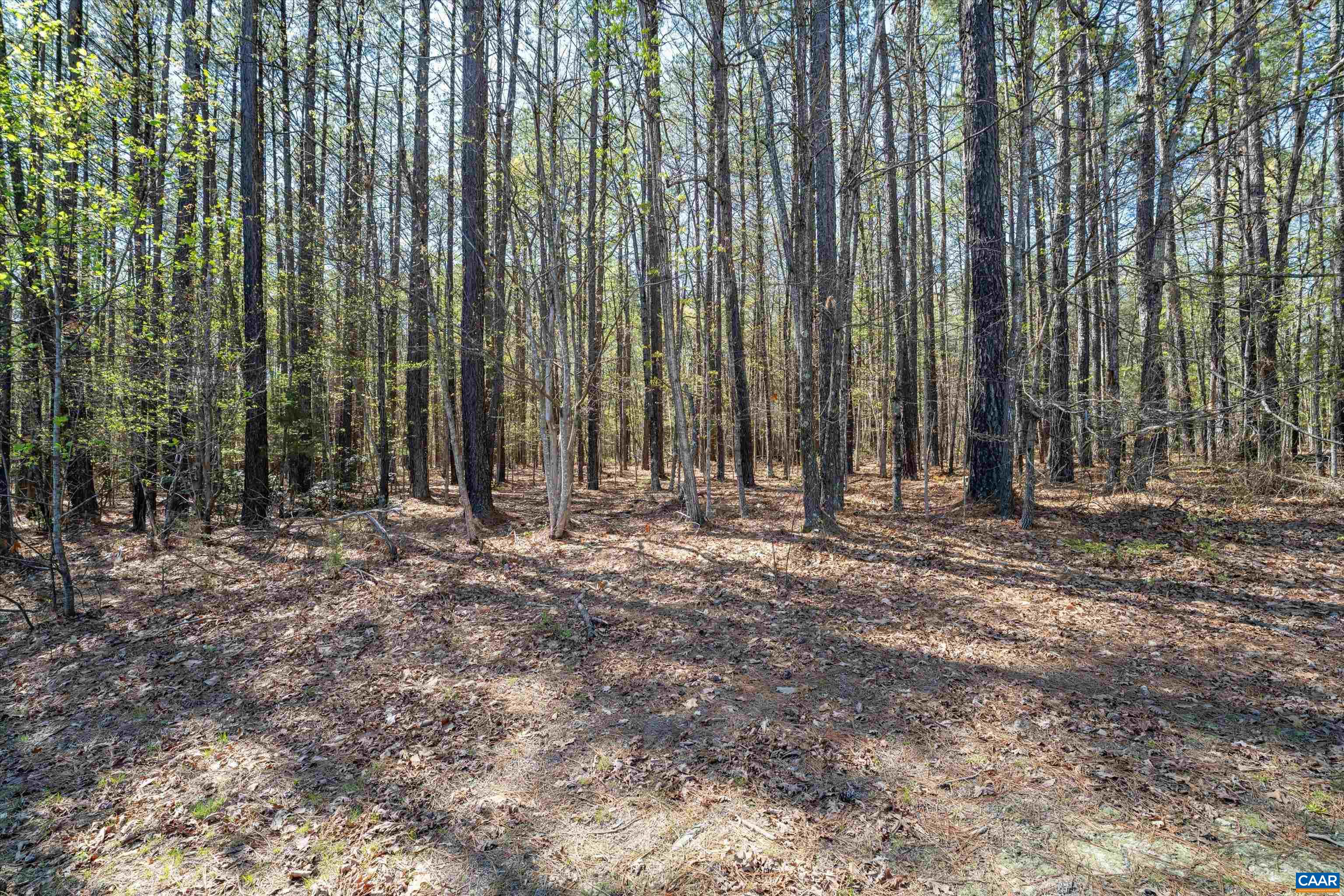 Lot 27 Martin Kings Road Charlottesville, VA 22902 - Photo 37 of 45 a view of outdoor space with deck and yard