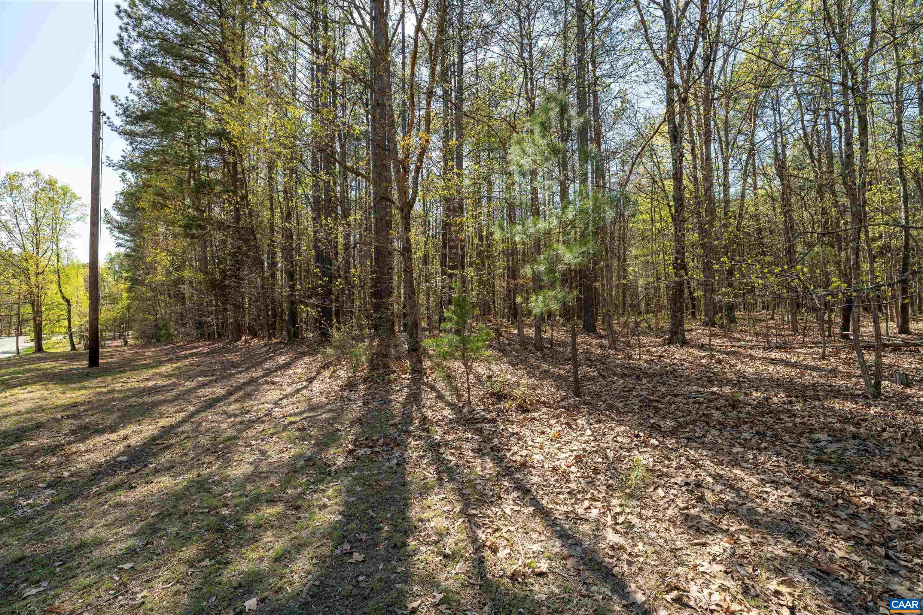 Lot 27 Martin Kings Road Charlottesville, VA 22902 - Photo 38 of 45 a view of a forest with trees