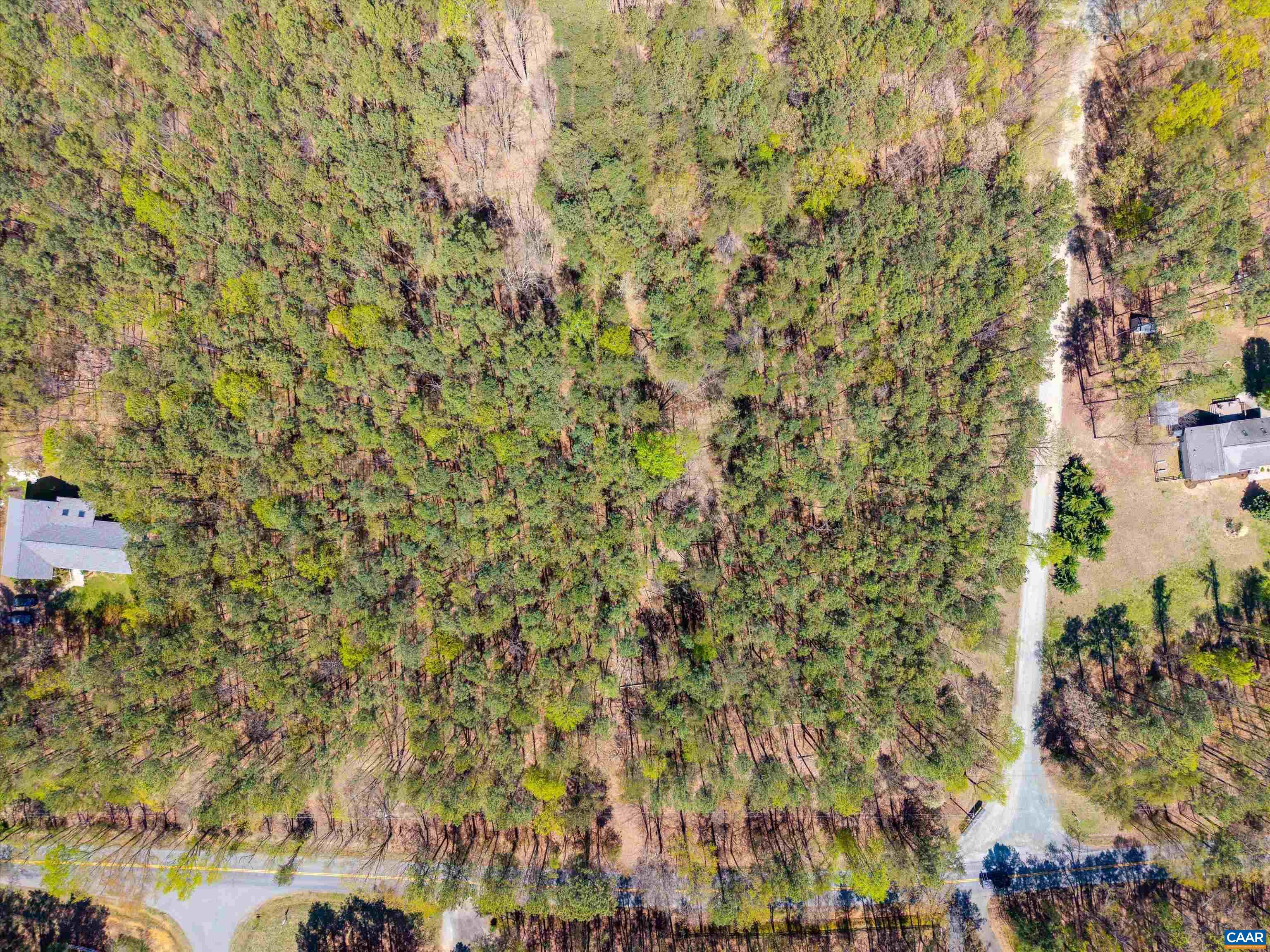 Lot 27 Martin Kings Road Charlottesville, VA 22902 - Photo 4 of 45