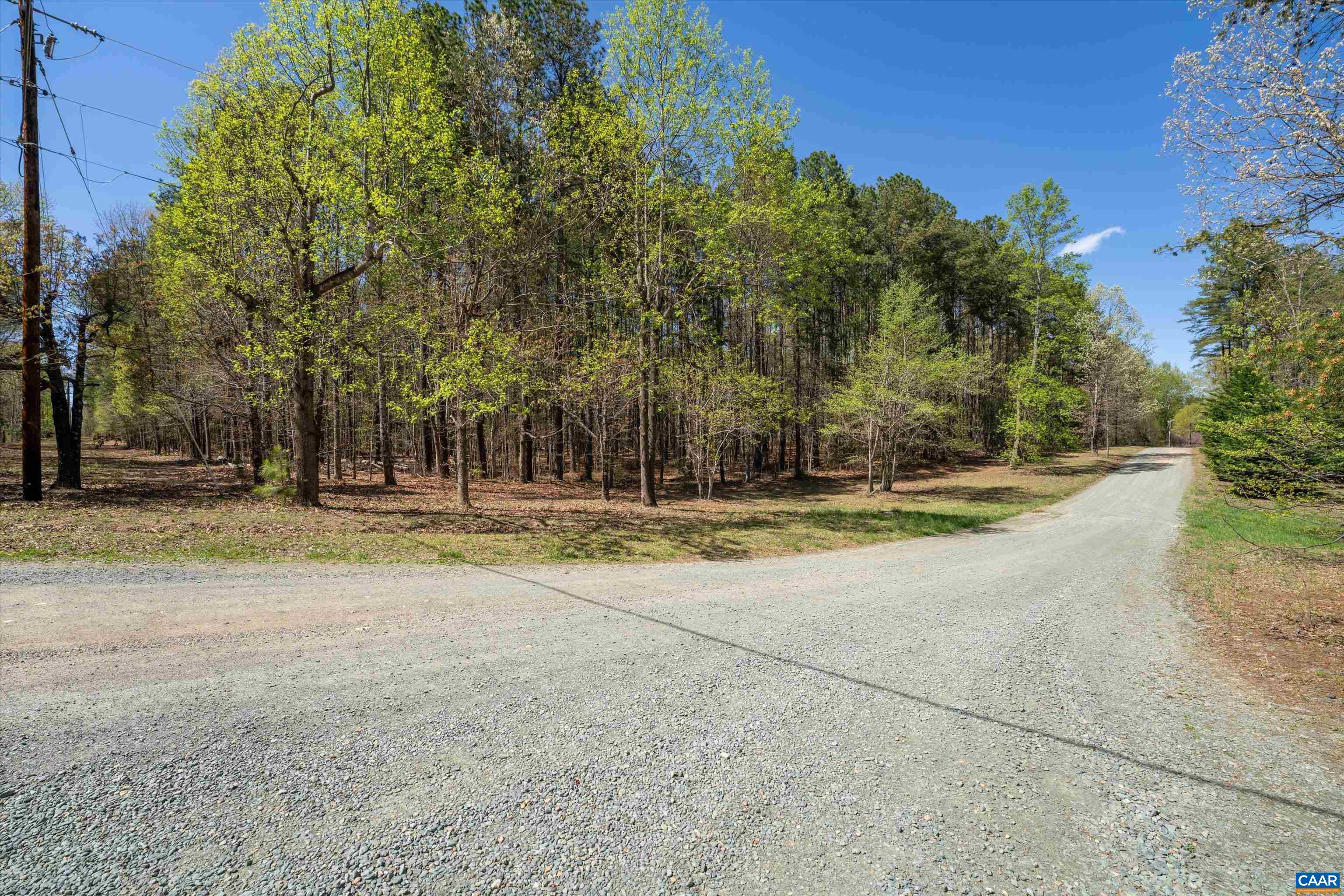 Lot 27 Martin Kings Road Charlottesville, VA 22902 - Photo 5 of 45 a view of swimming pool with large trees