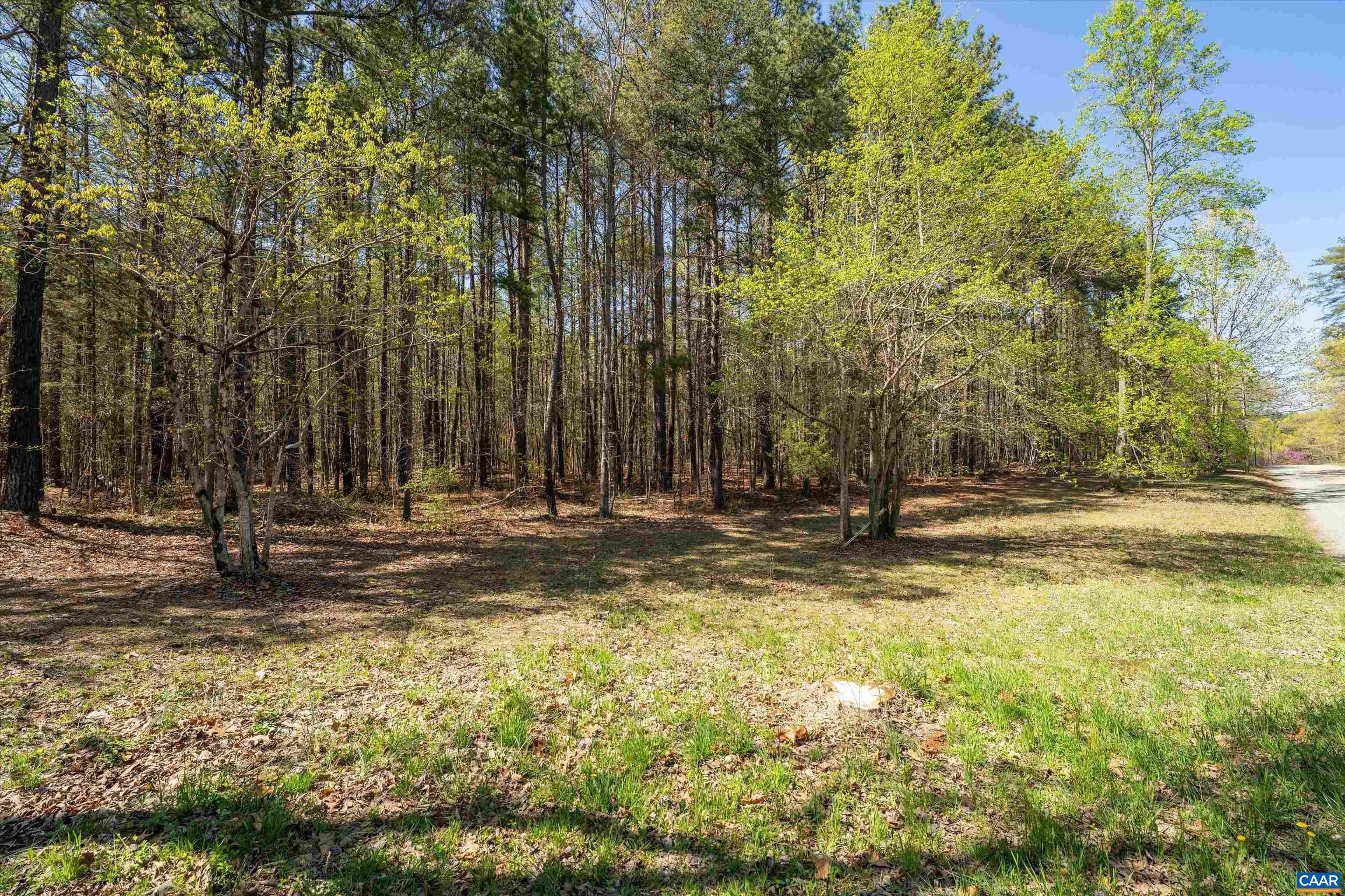Lot 27 Martin Kings Road Charlottesville, VA 22902 - Photo 8 of 45 a view of a yard with large trees