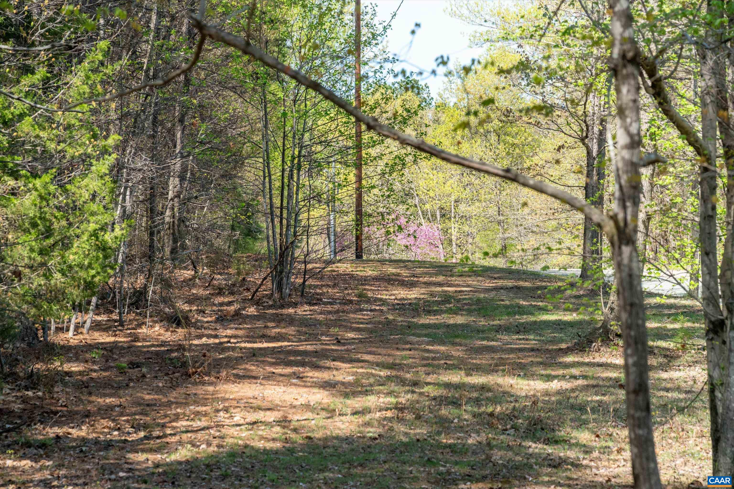 Lot 27 Martin Kings Road Charlottesville, VA 22902 - Photo 9 of 45