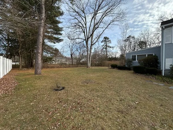 a view of a yard with trees