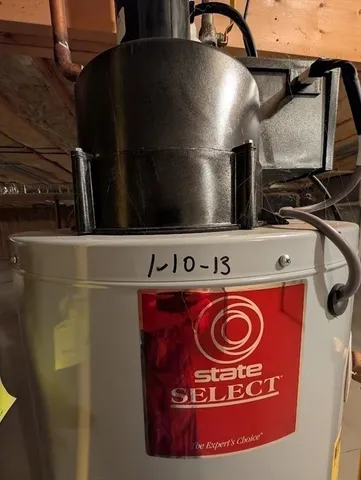 a view of a backyard with potted plants and large trees