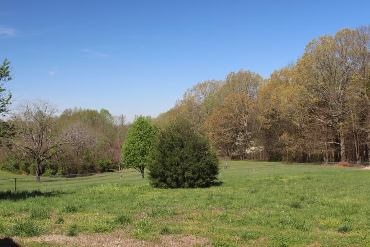 2075 Lock B Road North Clarksville, TN 37043 - Photo 4 of 26 a view of a grassy field with trees in the background