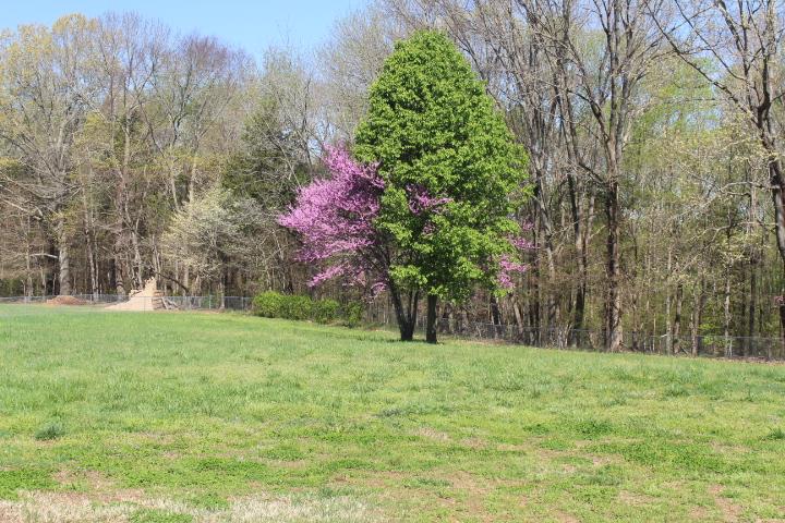 2075 Lock B Road North Clarksville, TN 37043 - Photo 5 of 26 a view of a yard with a tree