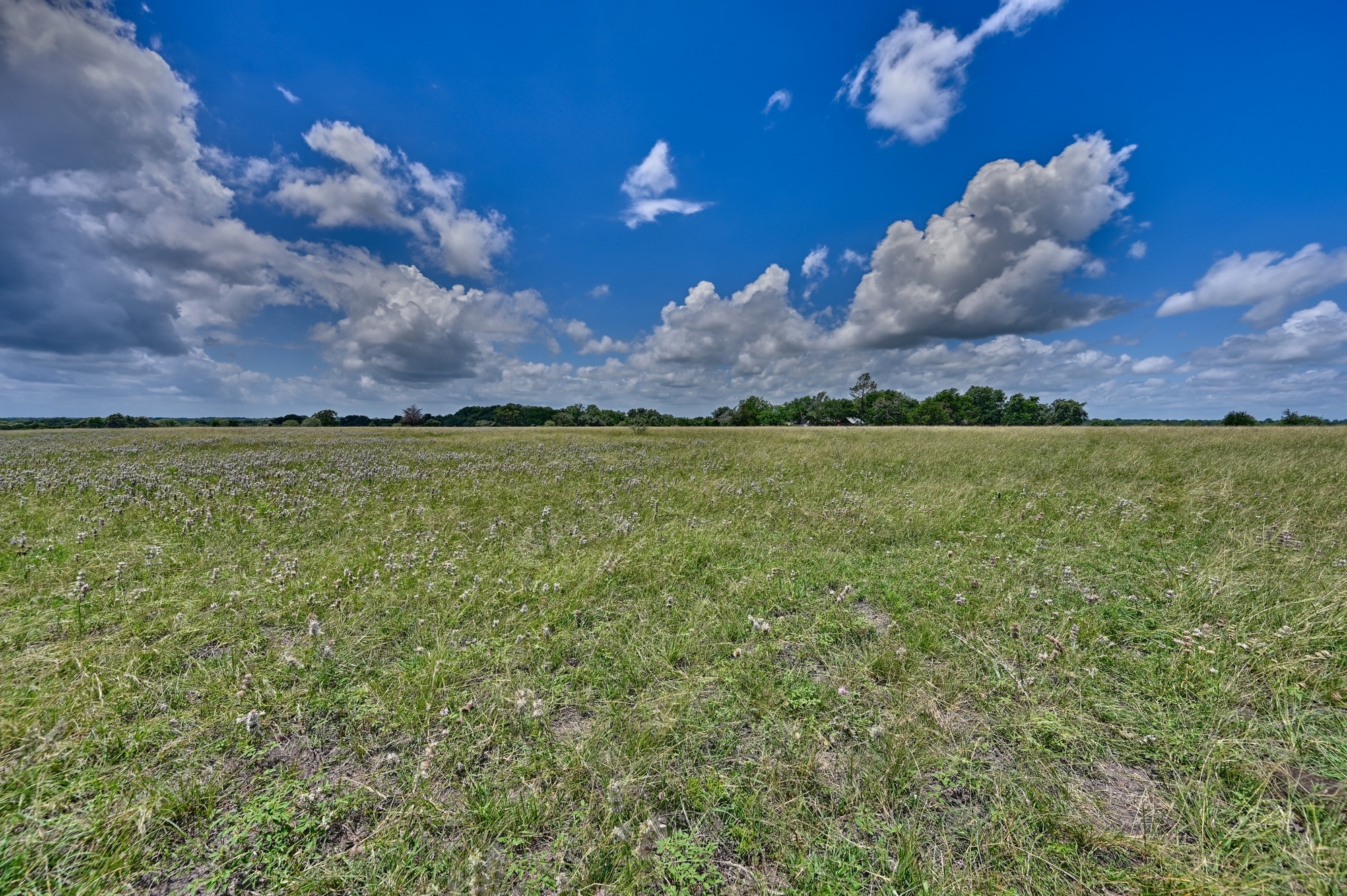 5208 Mensik Road Schulenburg, TX 78956 - Photo 19 of 34