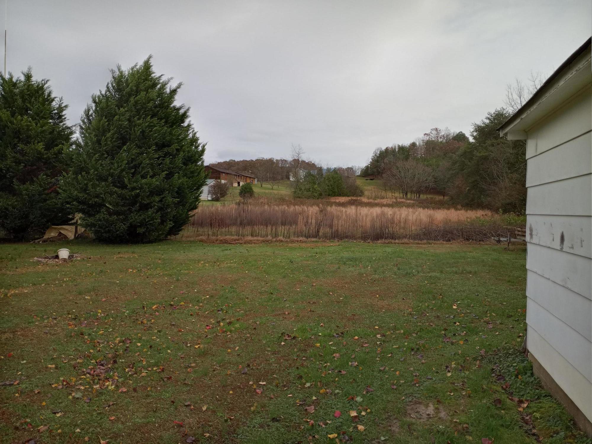 4116 Shipe Road Corryton, TN 37721 - Photo 16 of 19 Two and a Half Acres