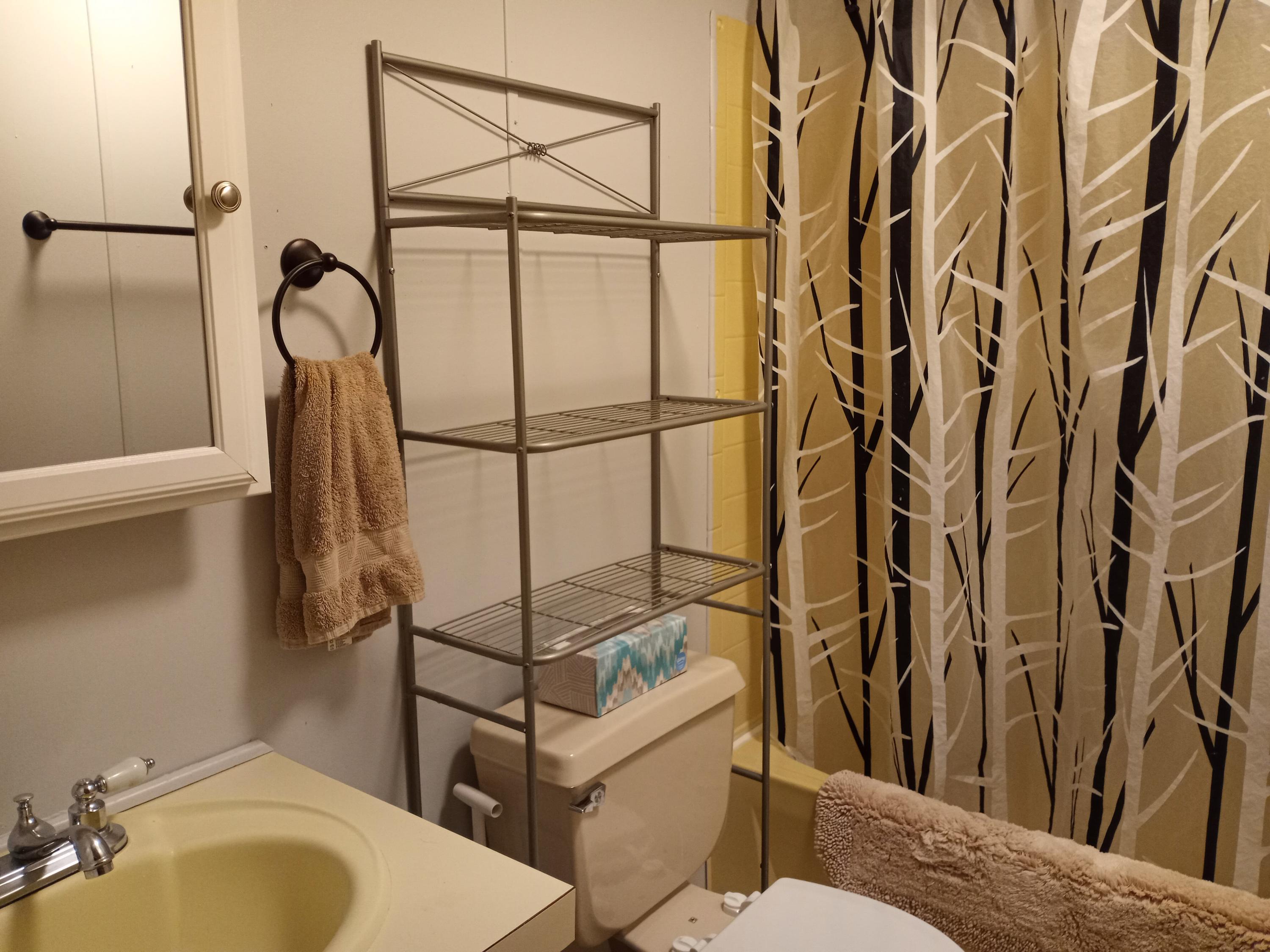 4116 Shipe Road Corryton, TN 37721 - Photo 8 of 19 Guest Bath