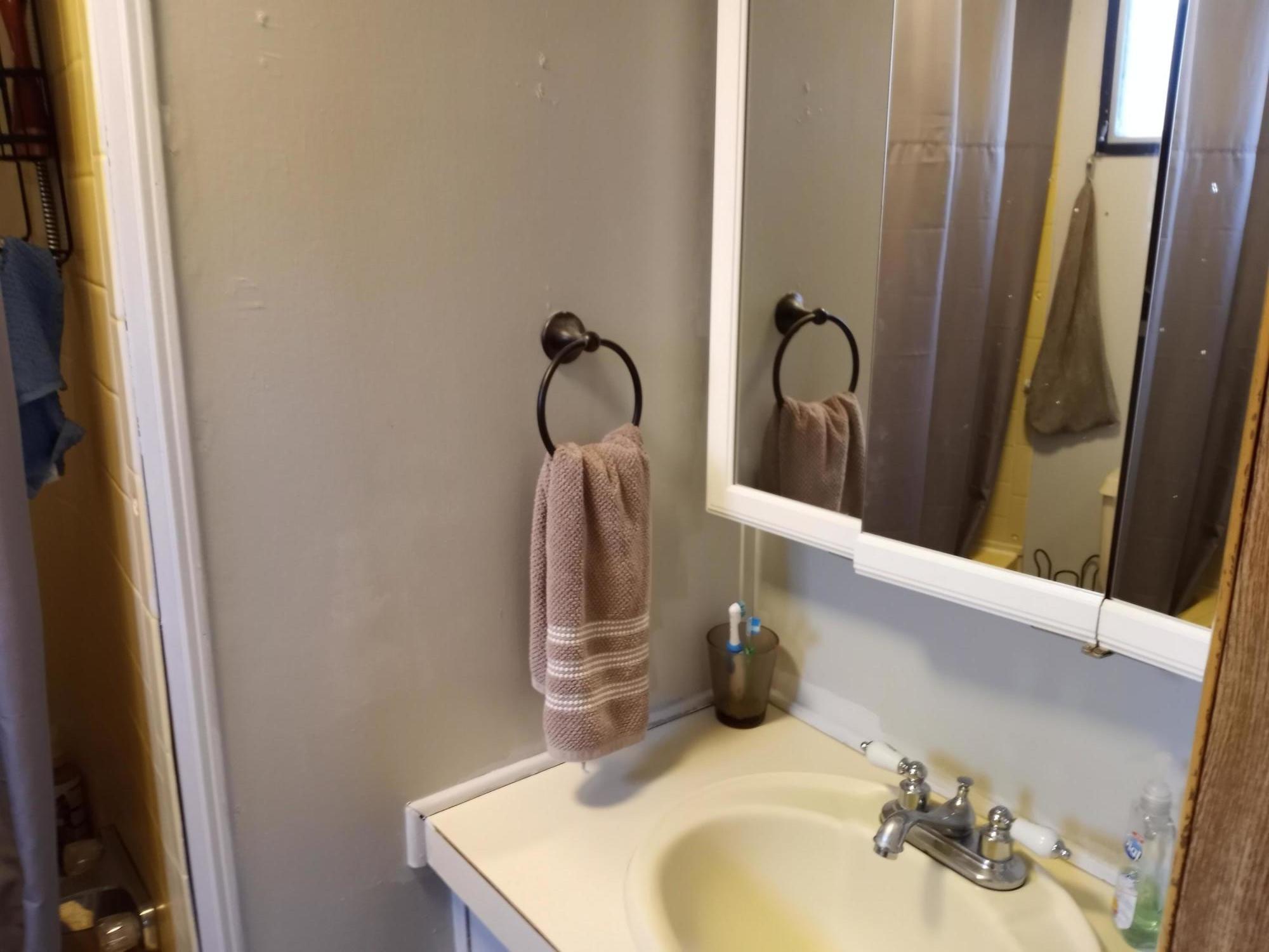 4116 Shipe Road Corryton, TN 37721 - Photo 10 of 19 Master Bath
