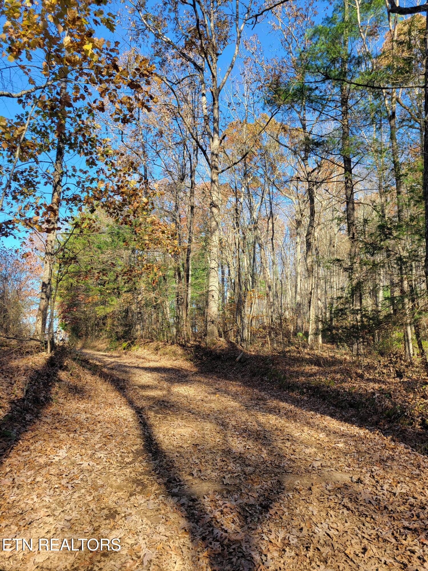 0 Kidd Mill Road Oneida, TN 37841 - Photo 18 of 24 Gallery Image 18