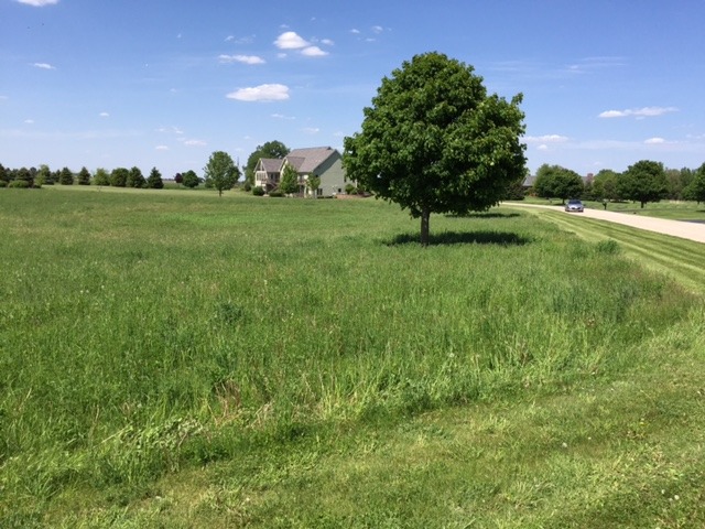 8709 Prairie Field Drive Union, IL 60180 - Photo 3 of 9 a view of a field with a tree in the background