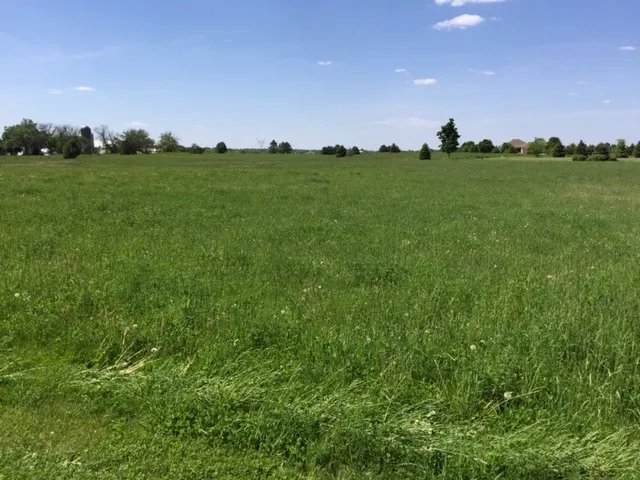 a view of a green field
