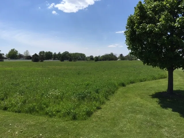 a view of a field of grass and trees