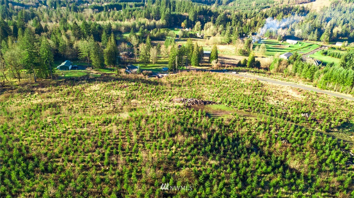260 Young Road Kelso, WA 98626 - Photo 15 of 18 Gallery Image 15