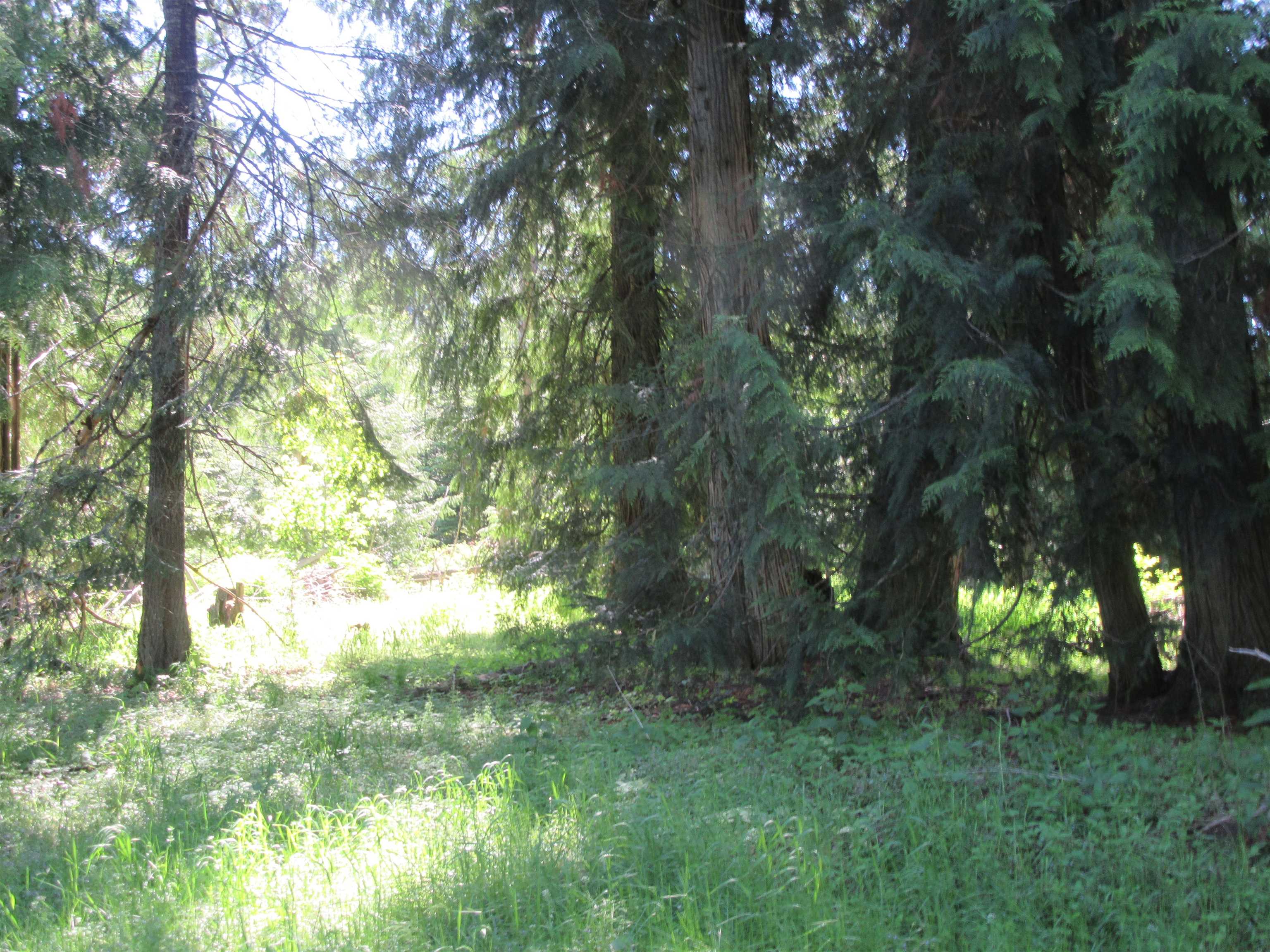 872 Clark Road Newport, WA 99156 - Photo 21 of 33 Gallery Image 21