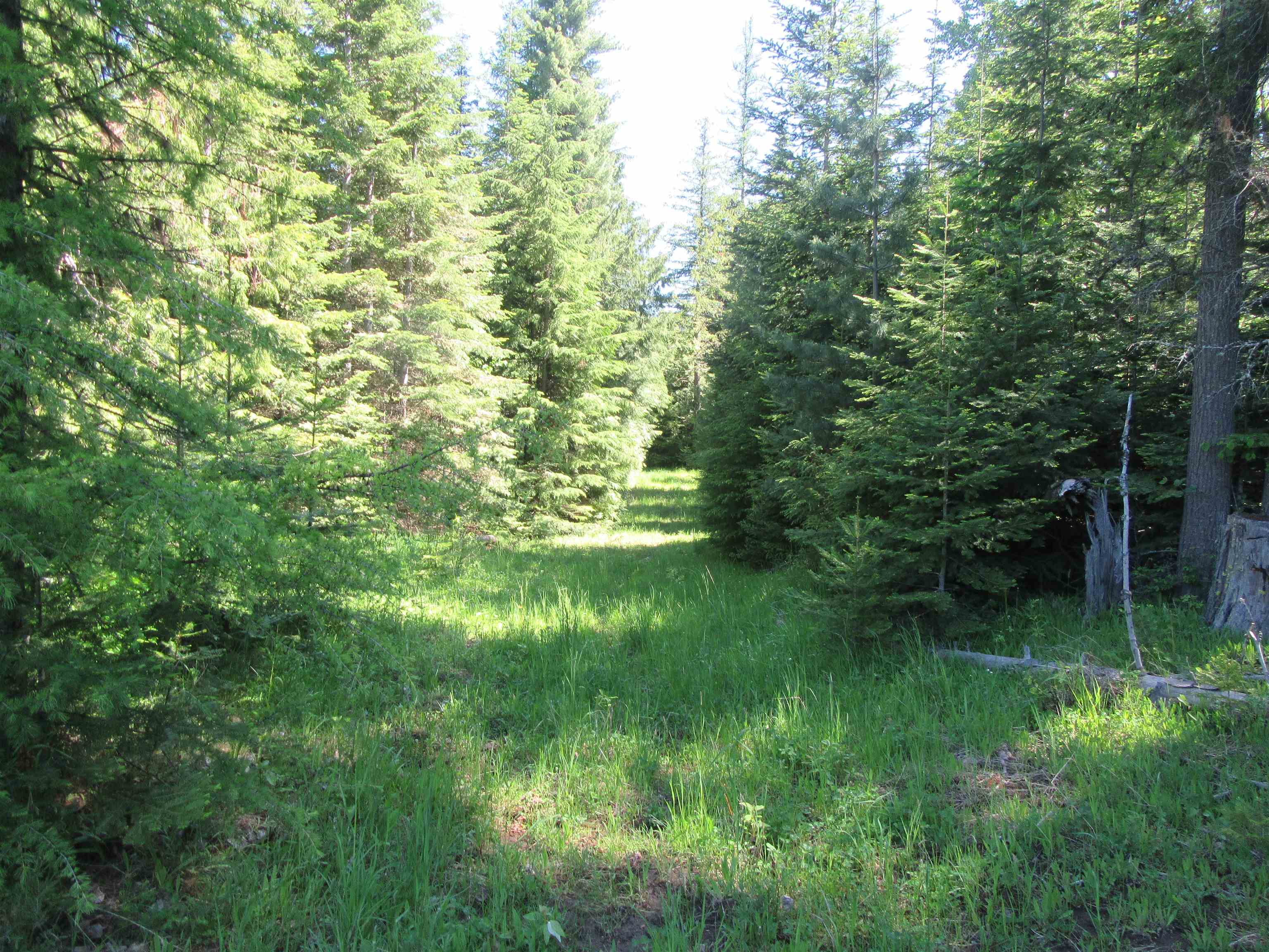 872 Clark Road Newport, WA 99156 - Photo 9 of 33 Gallery Image 9